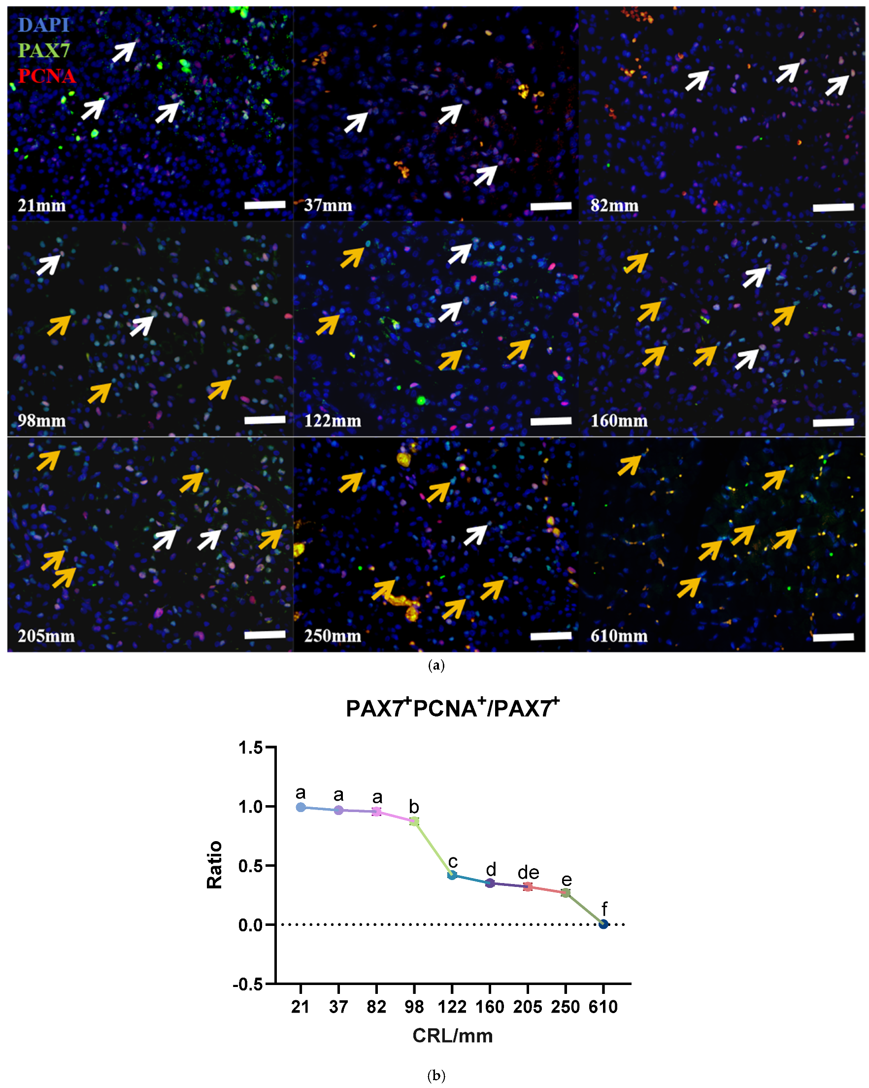 Biology 13 01091 g004 Biology 13 01091 g004