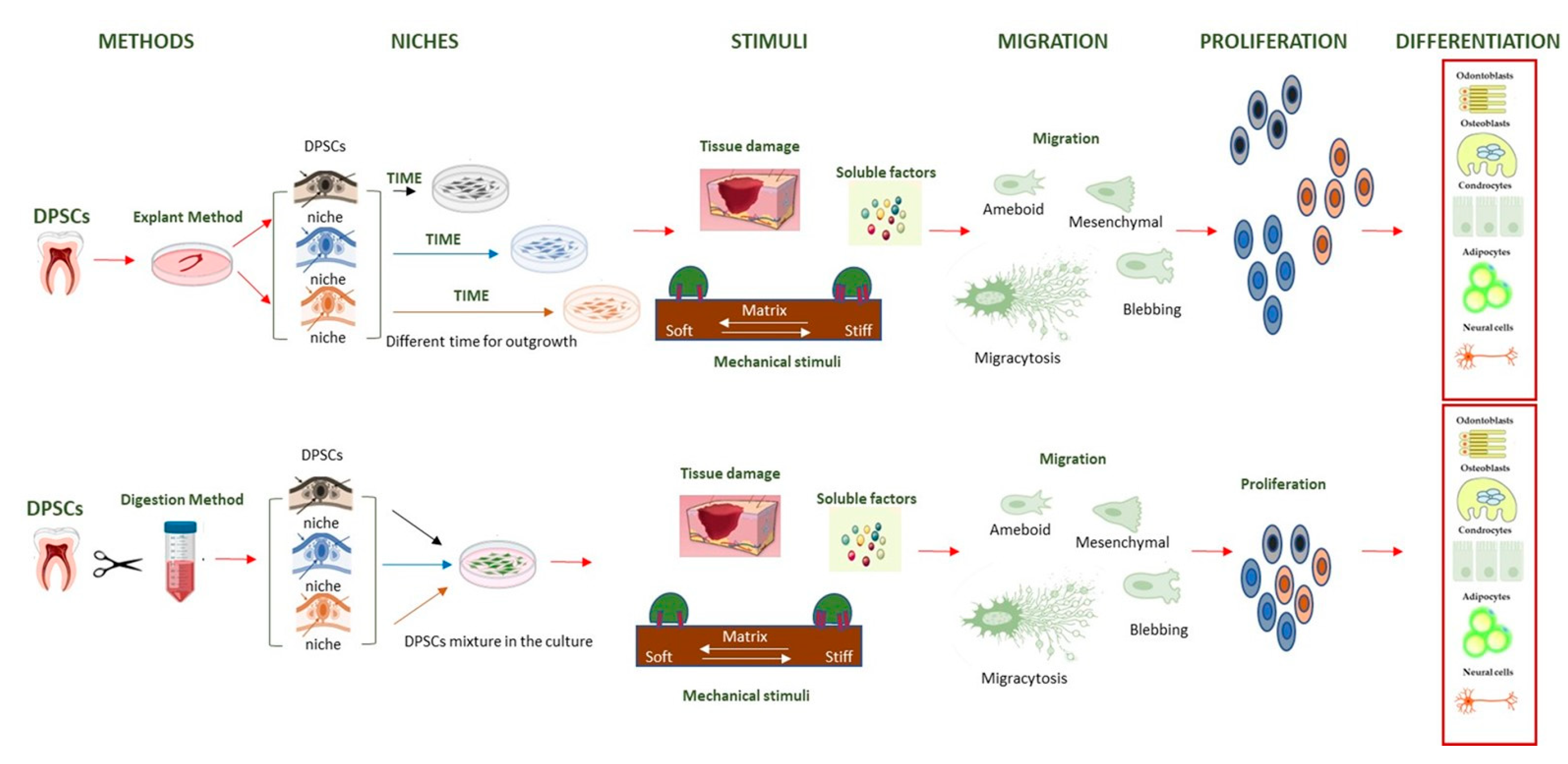 Biology 14 00001 g001
