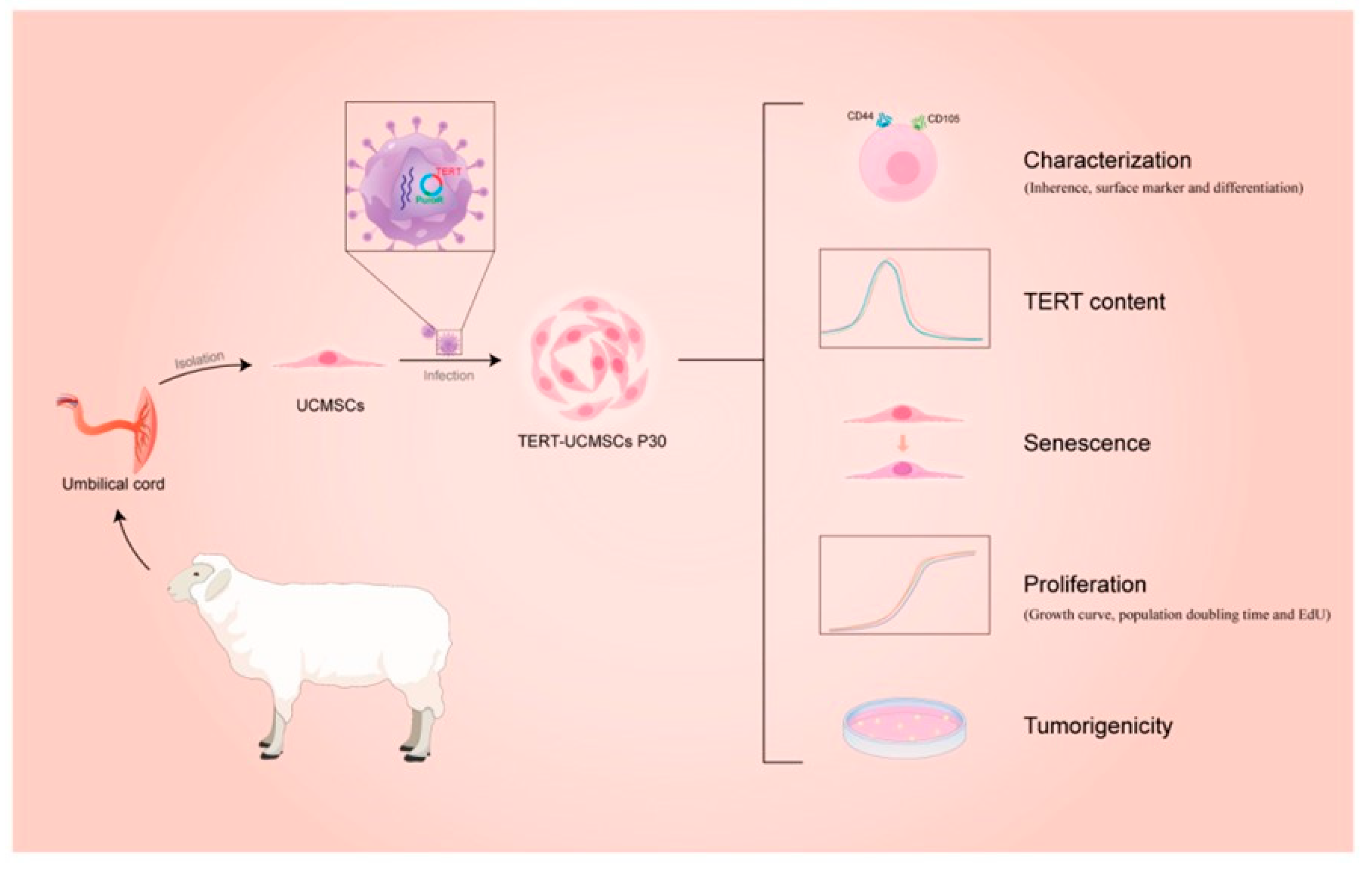 Biology 14 00001 g002