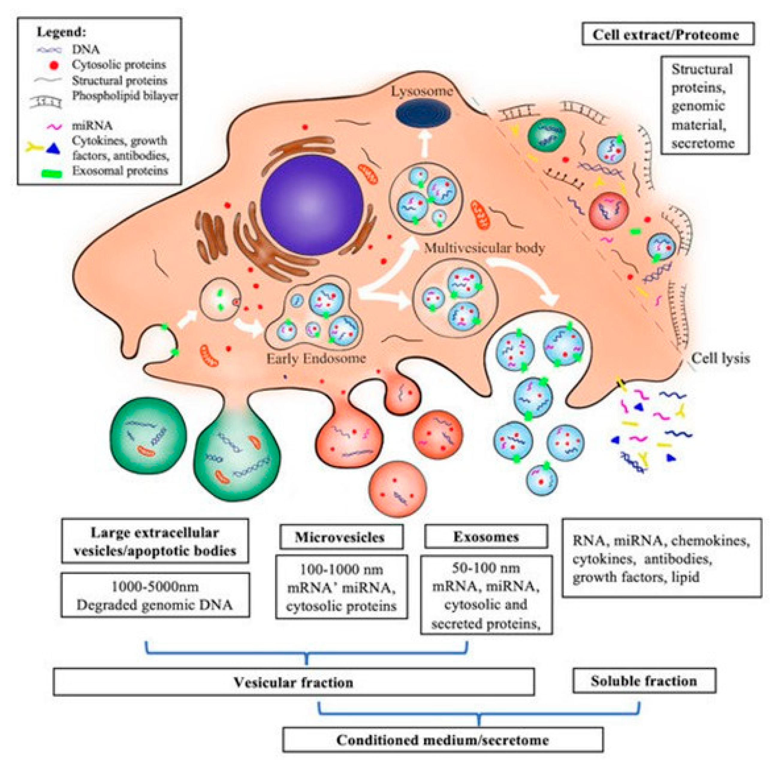 Biology 14 00001 g003