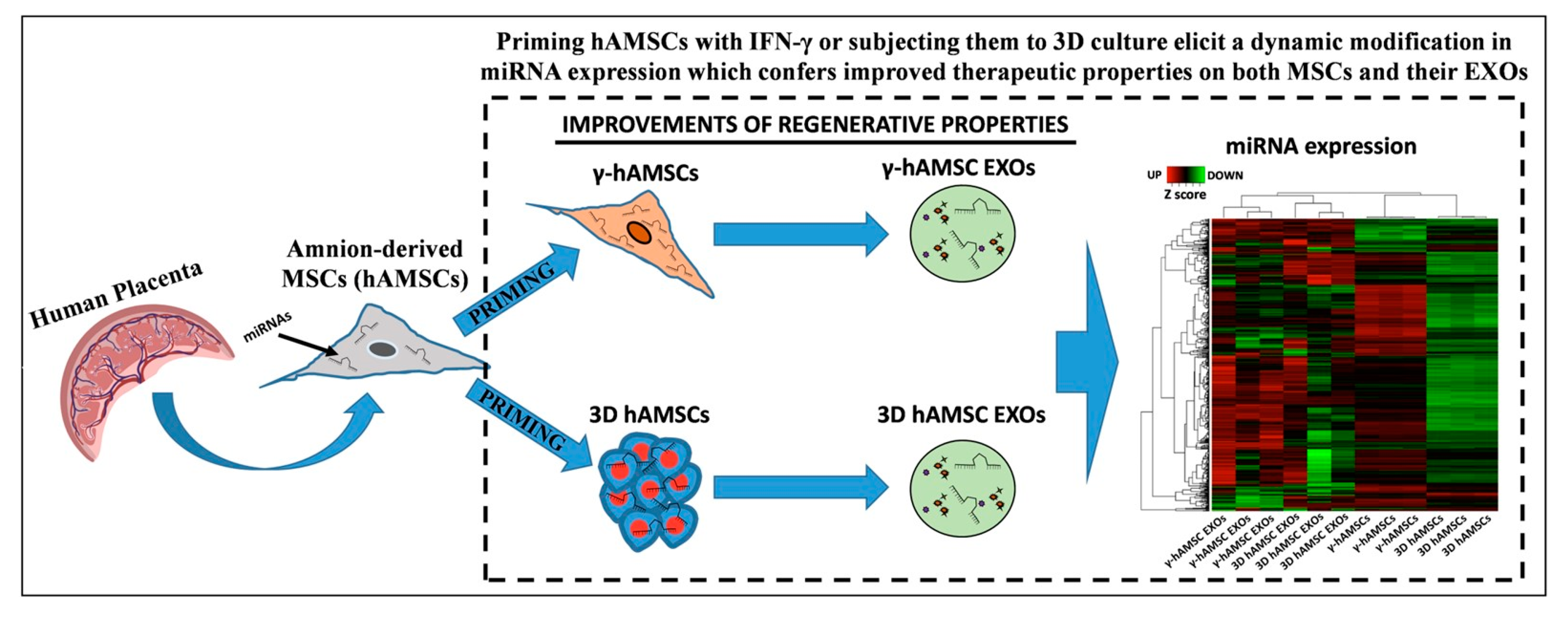 Biology 14 00001 g004