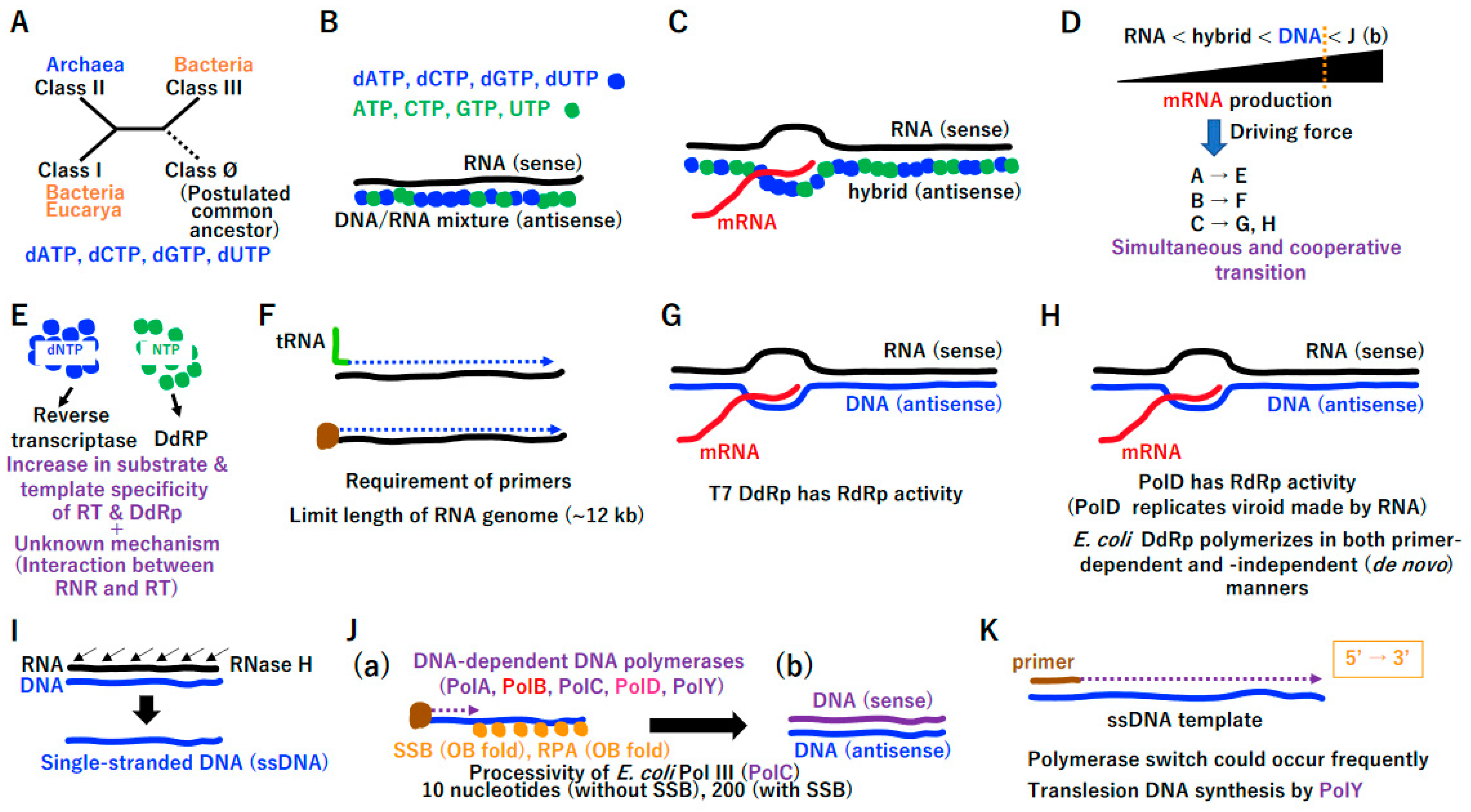 Biology 14 00003 g002