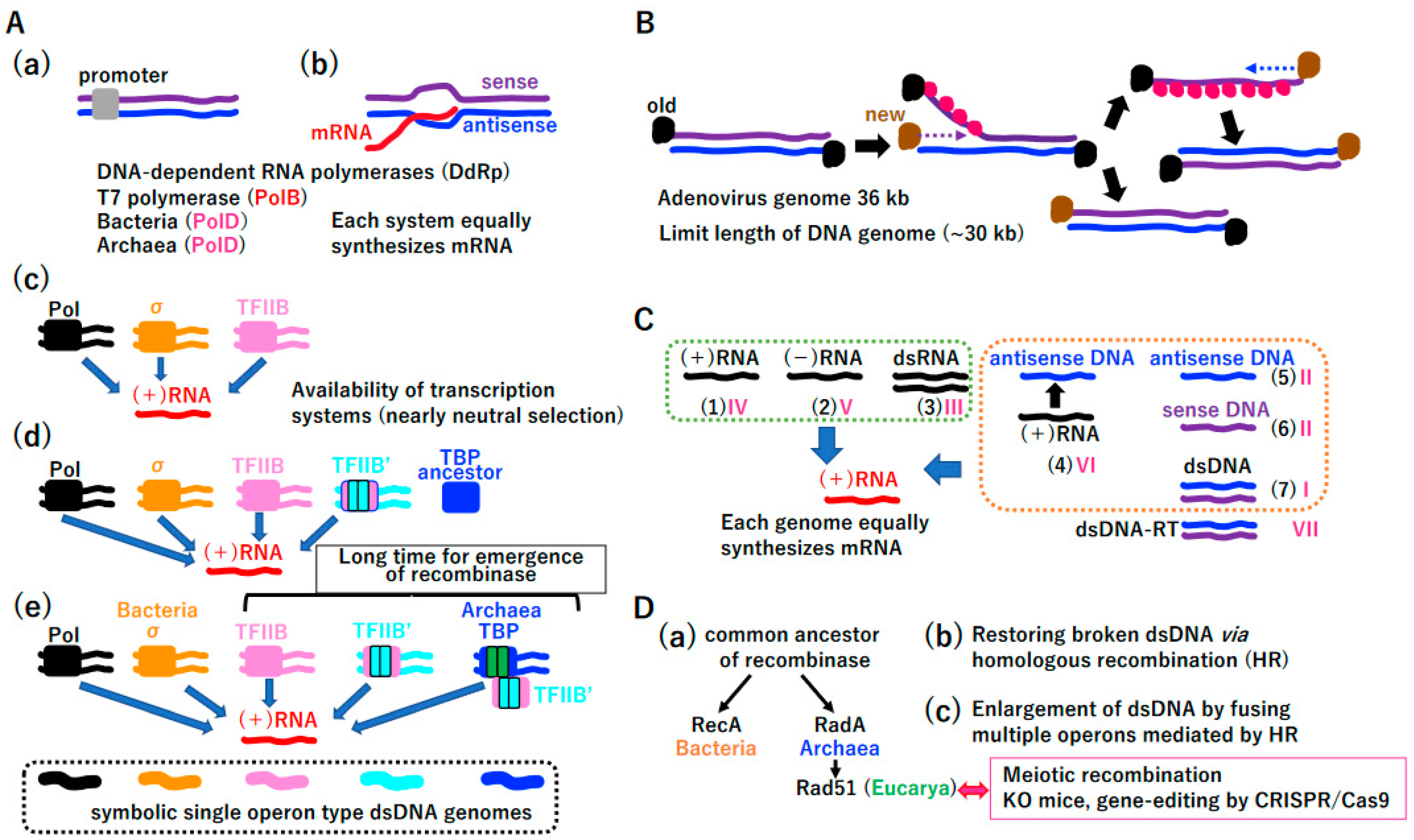 Biology 14 00003 g003