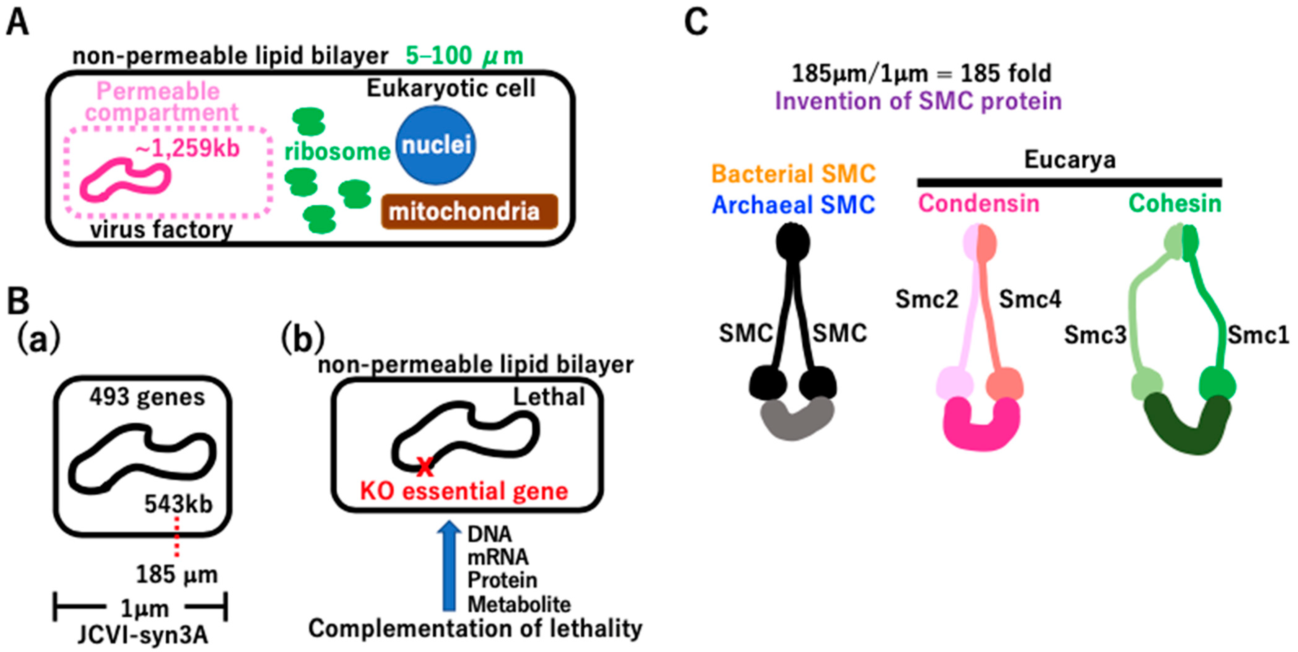 Biology 14 00003 g007