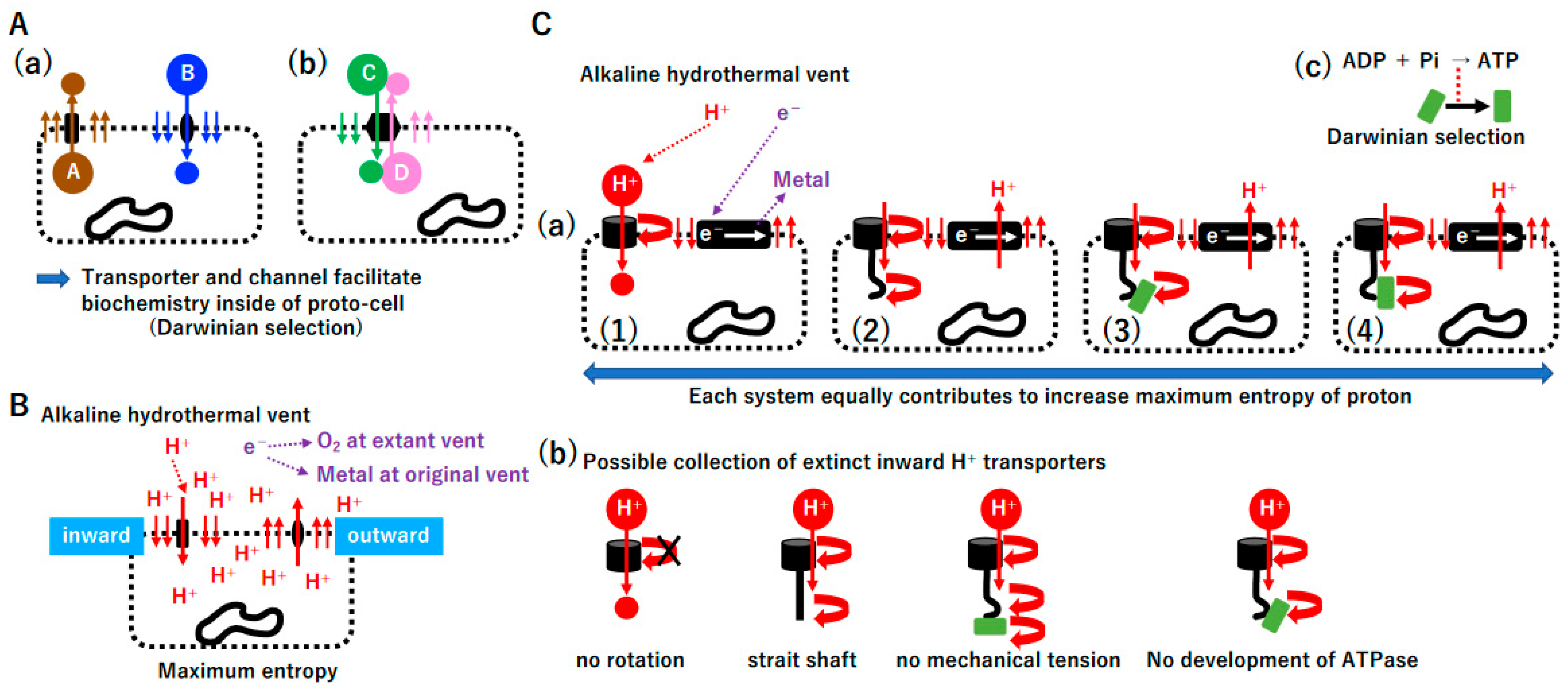 Biology 14 00003 g008