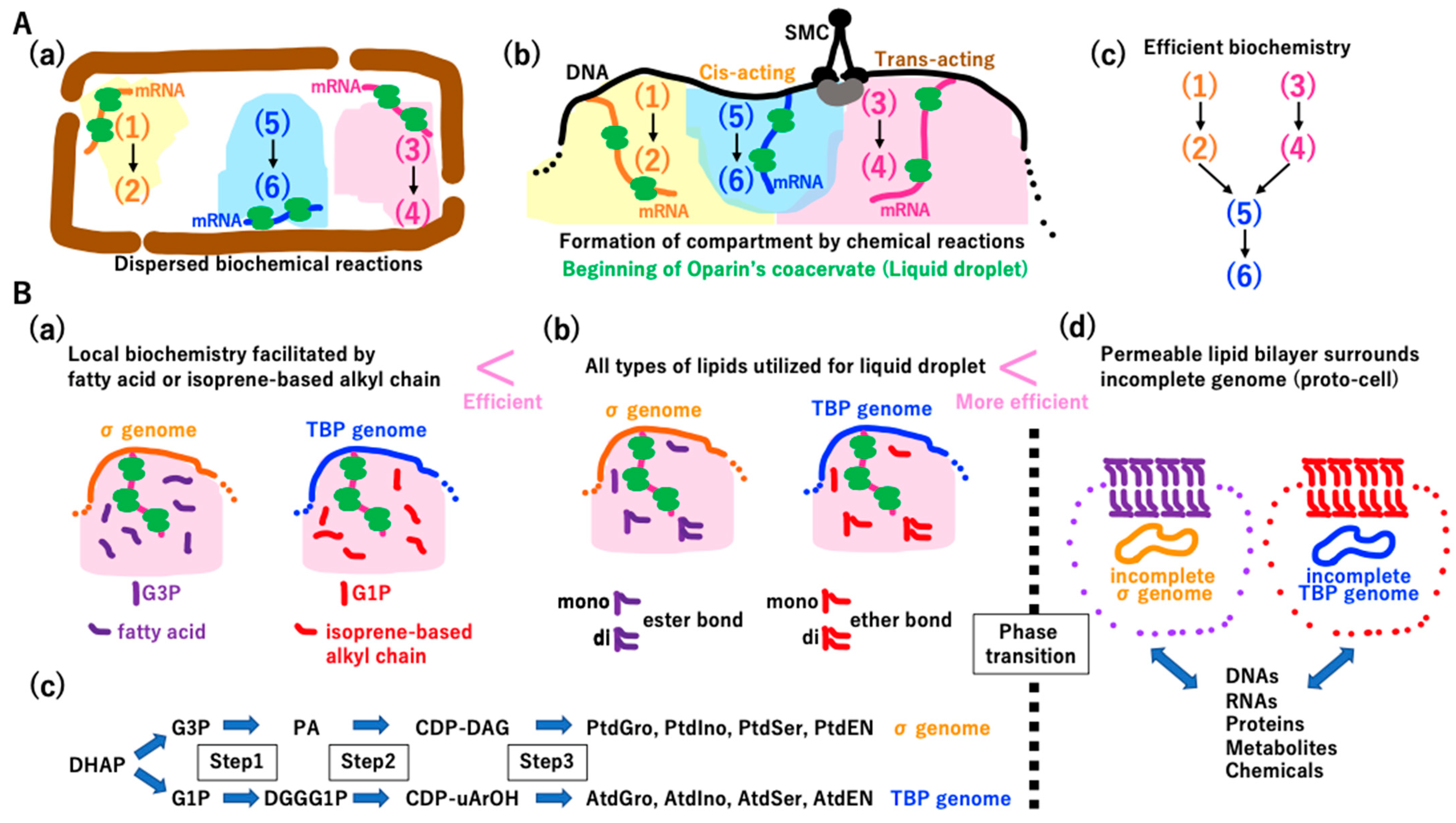 Biology 14 00003 g009
