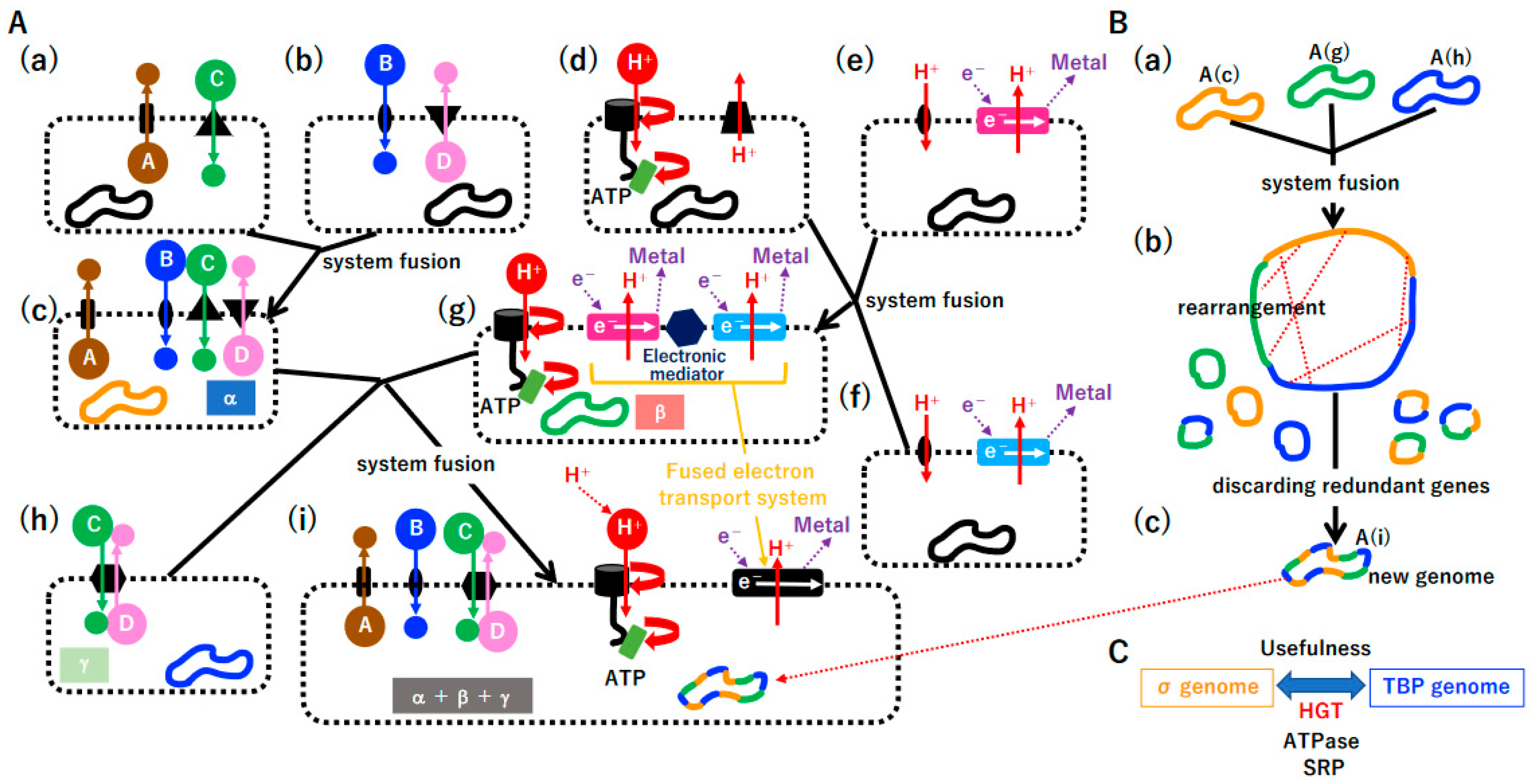 Biology 14 00003 g011