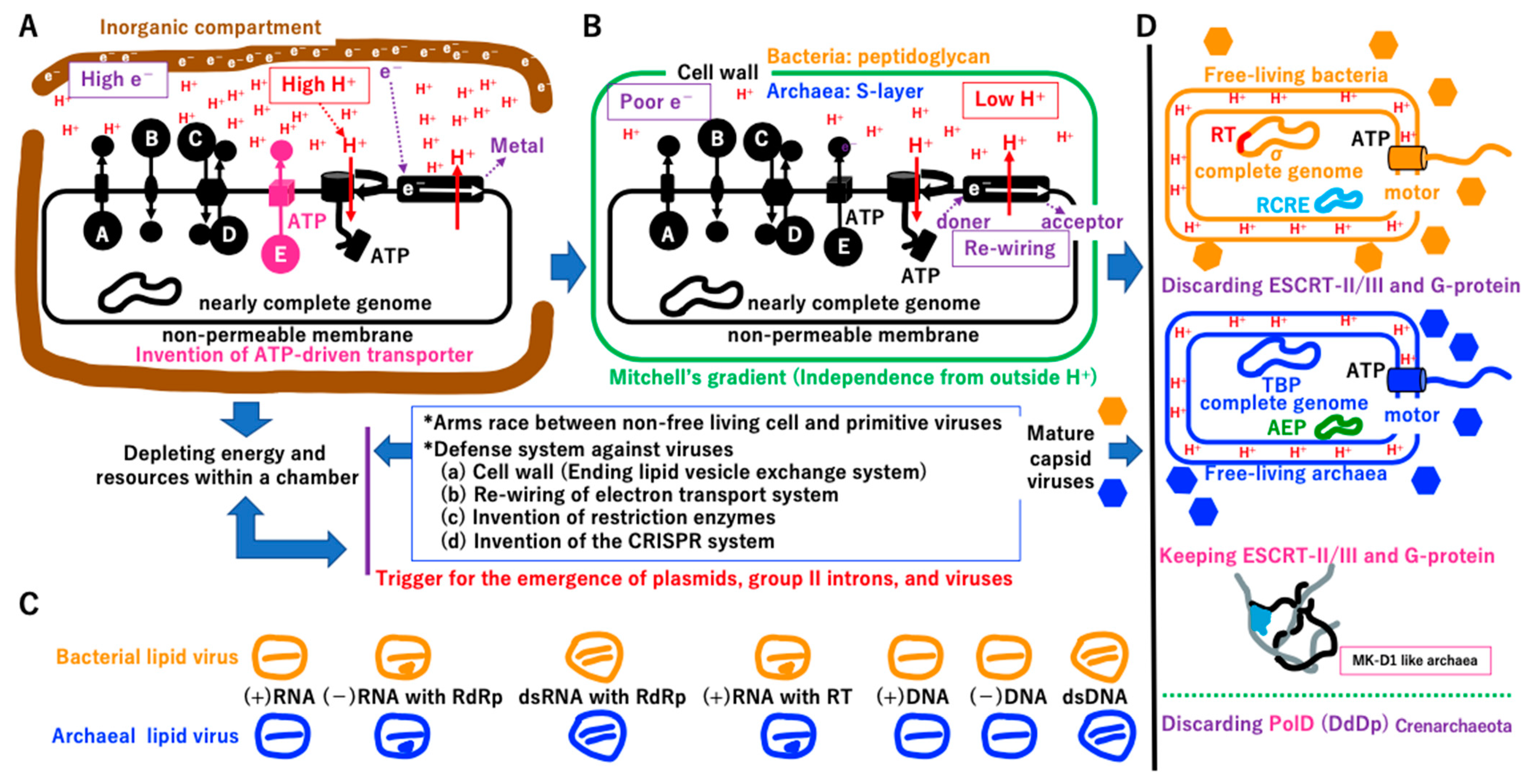 Biology 14 00003 g012
