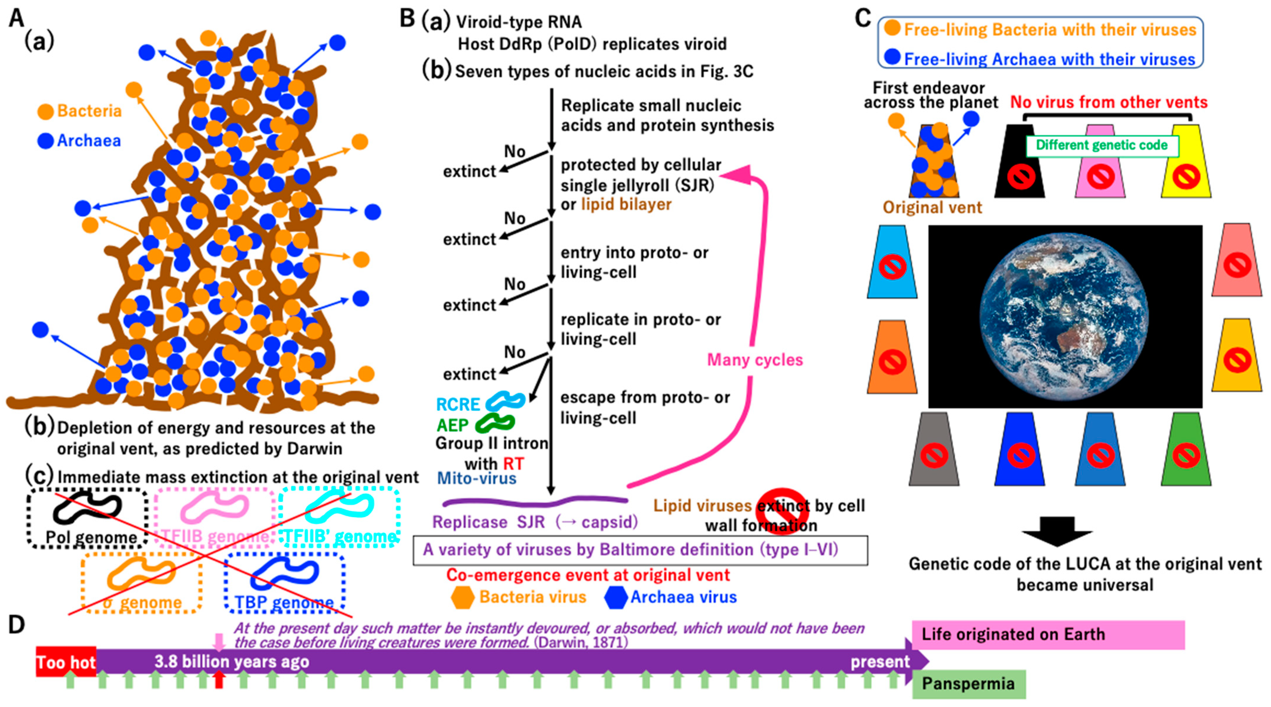 Biology 14 00003 g013