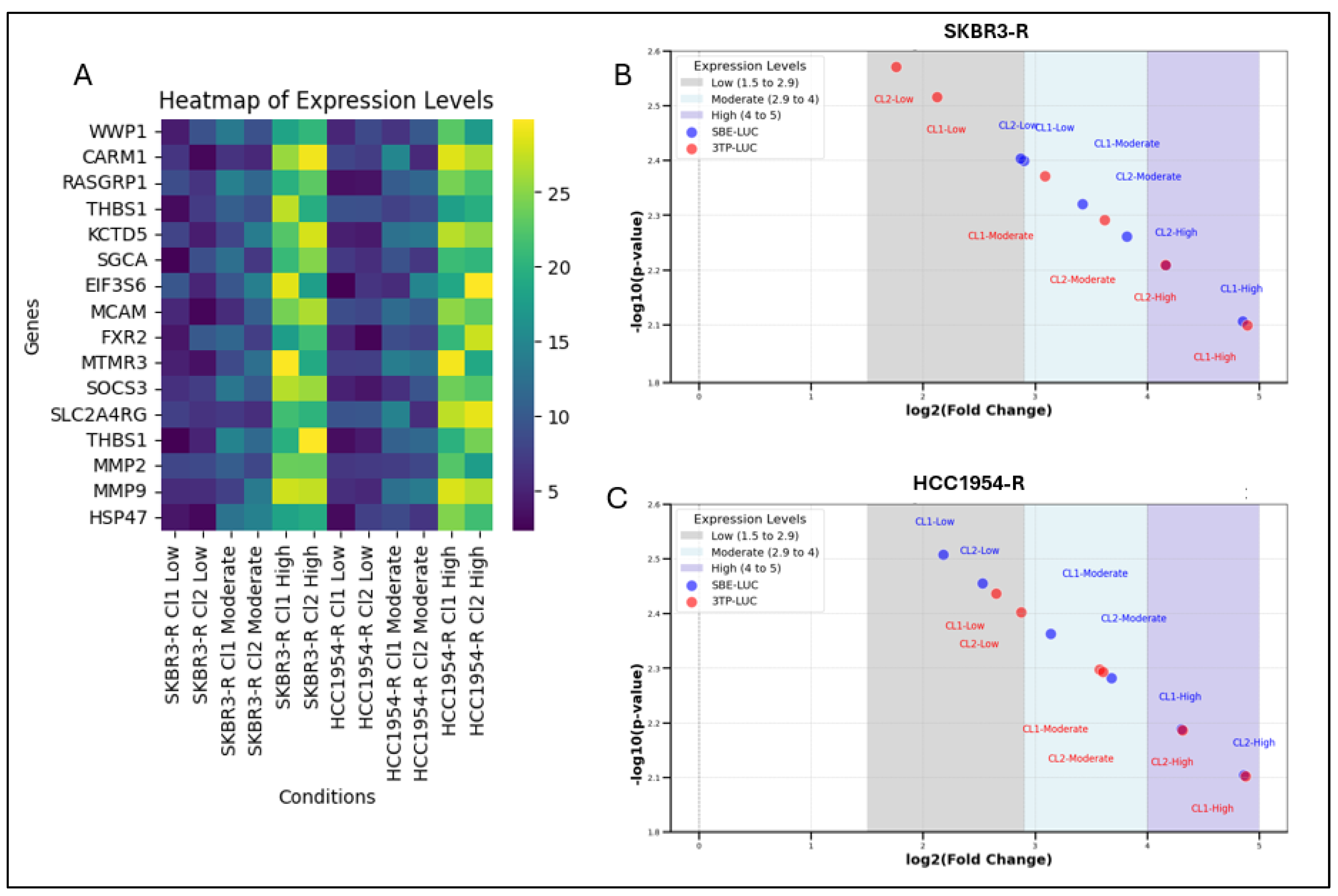 Biology 14 00009 g002