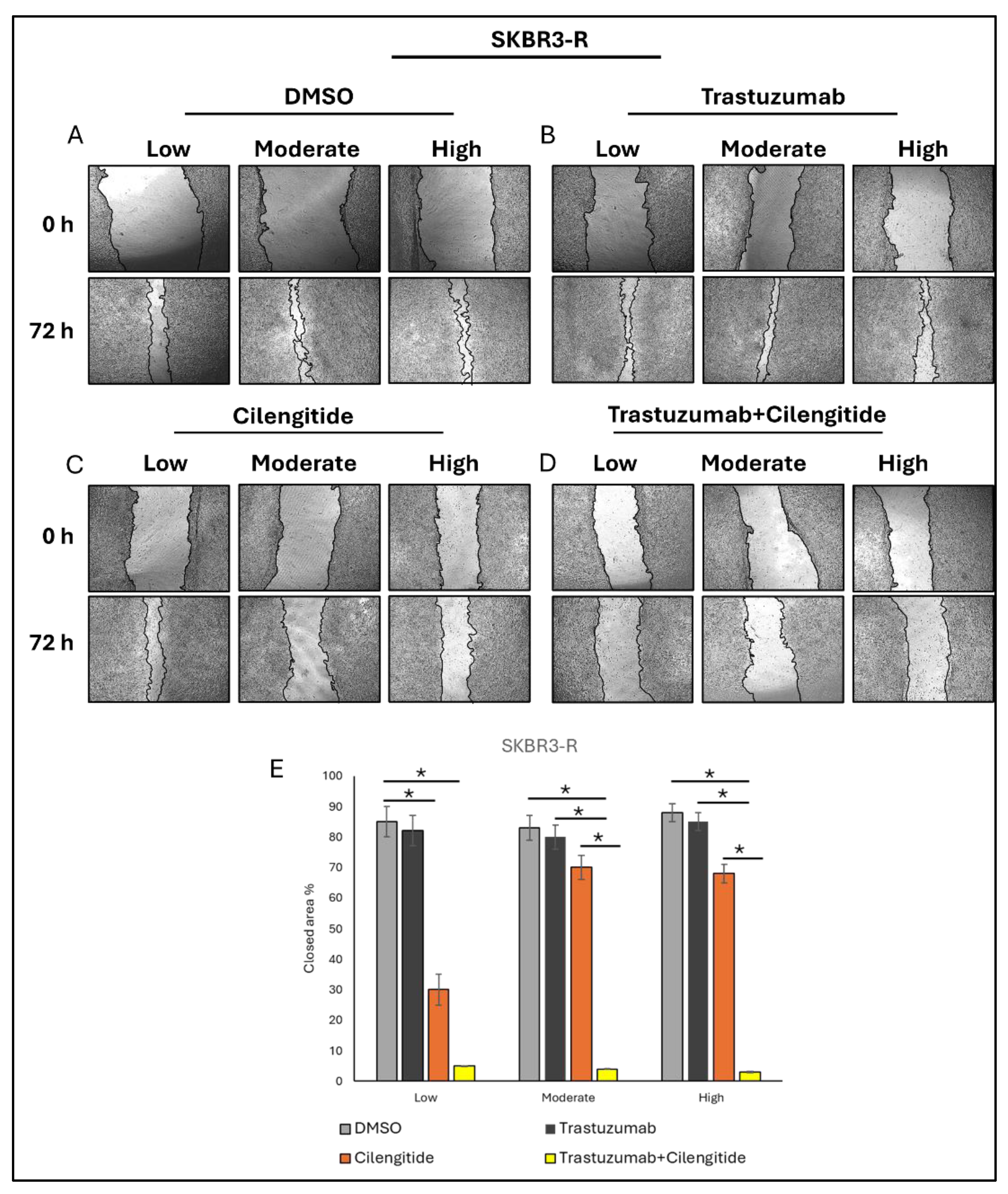 Biology 14 00009 g005