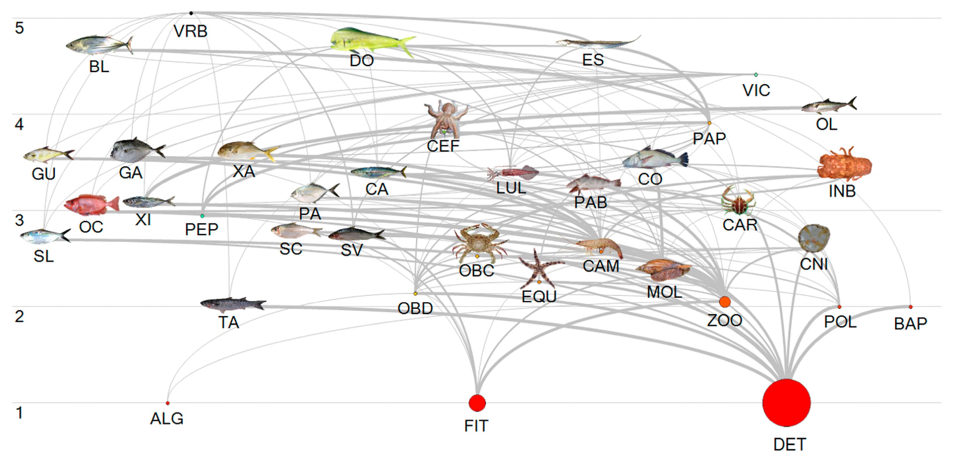 Biology 14 00013 g006