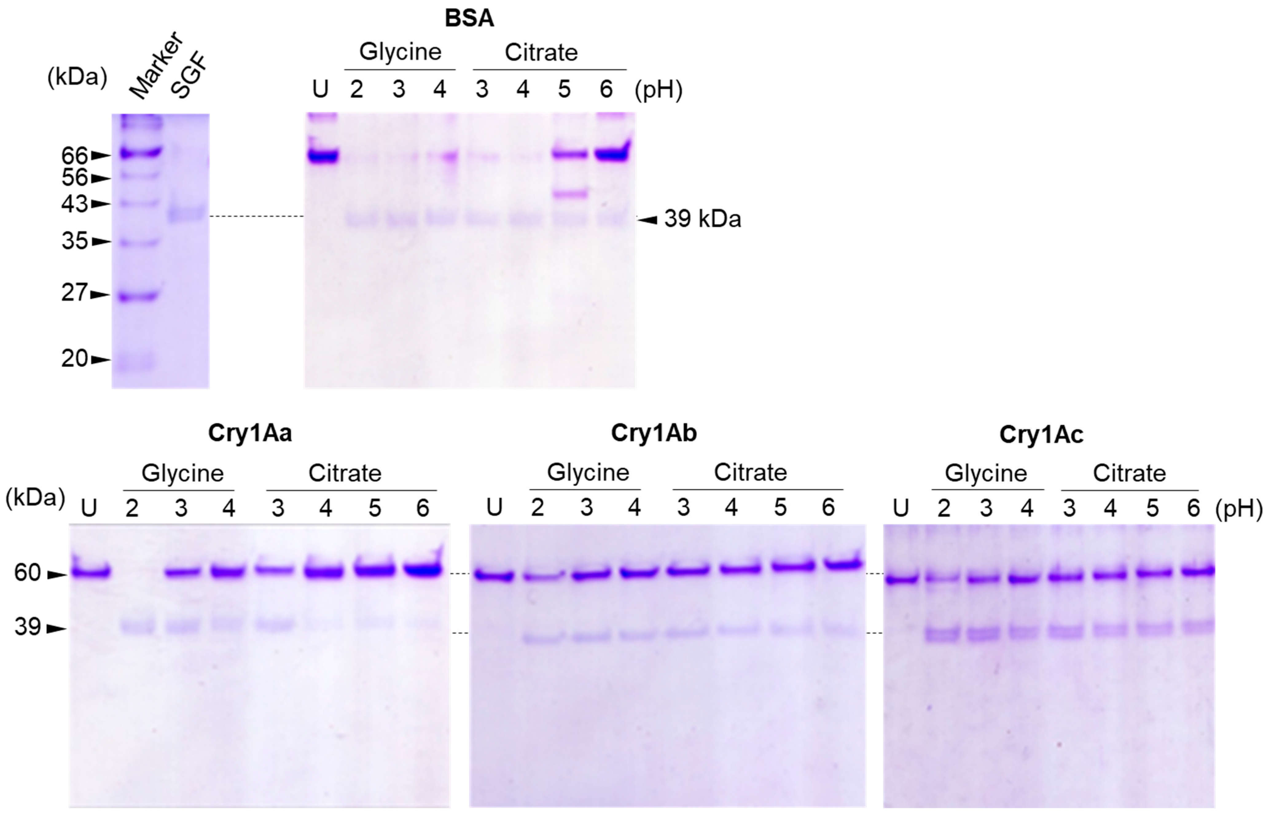 Biology 14 00015 g001