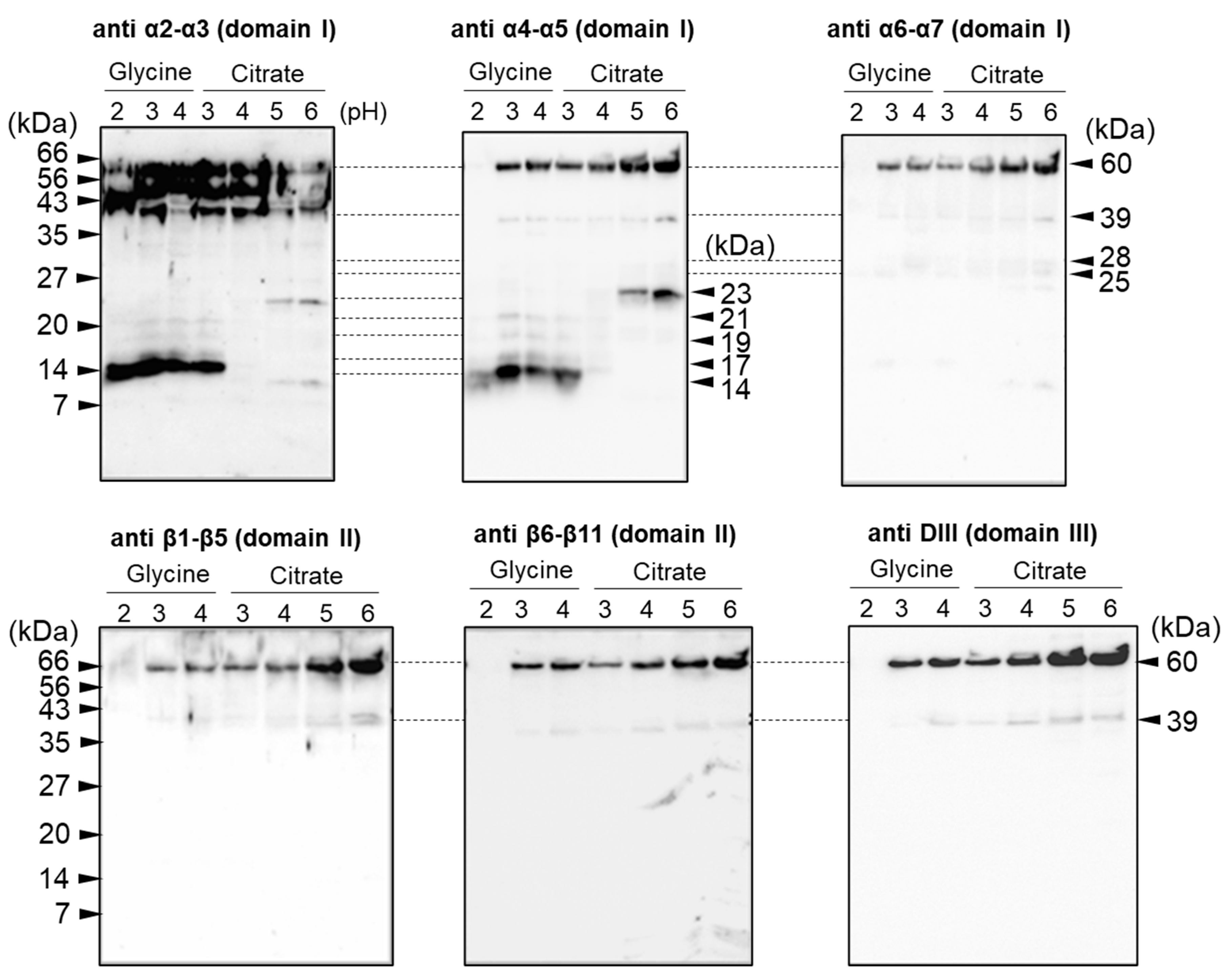 Biology 14 00015 g002