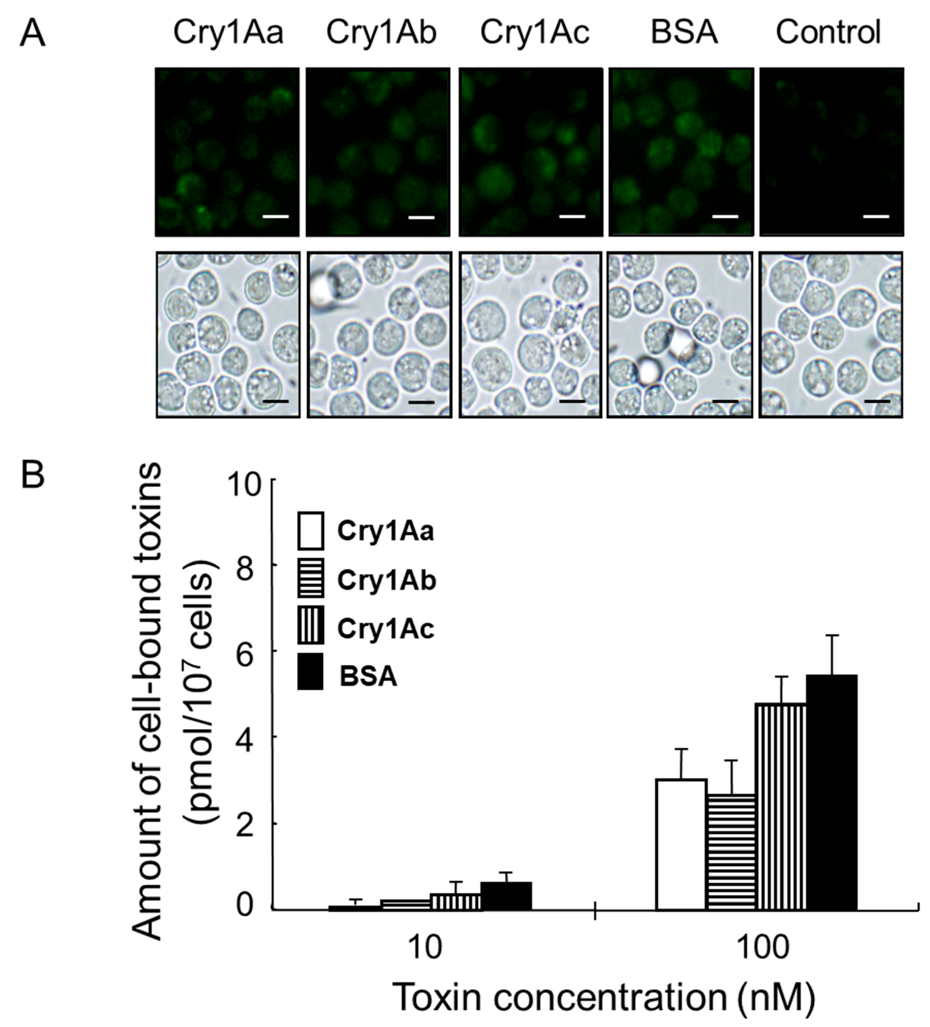 Biology 14 00015 g004