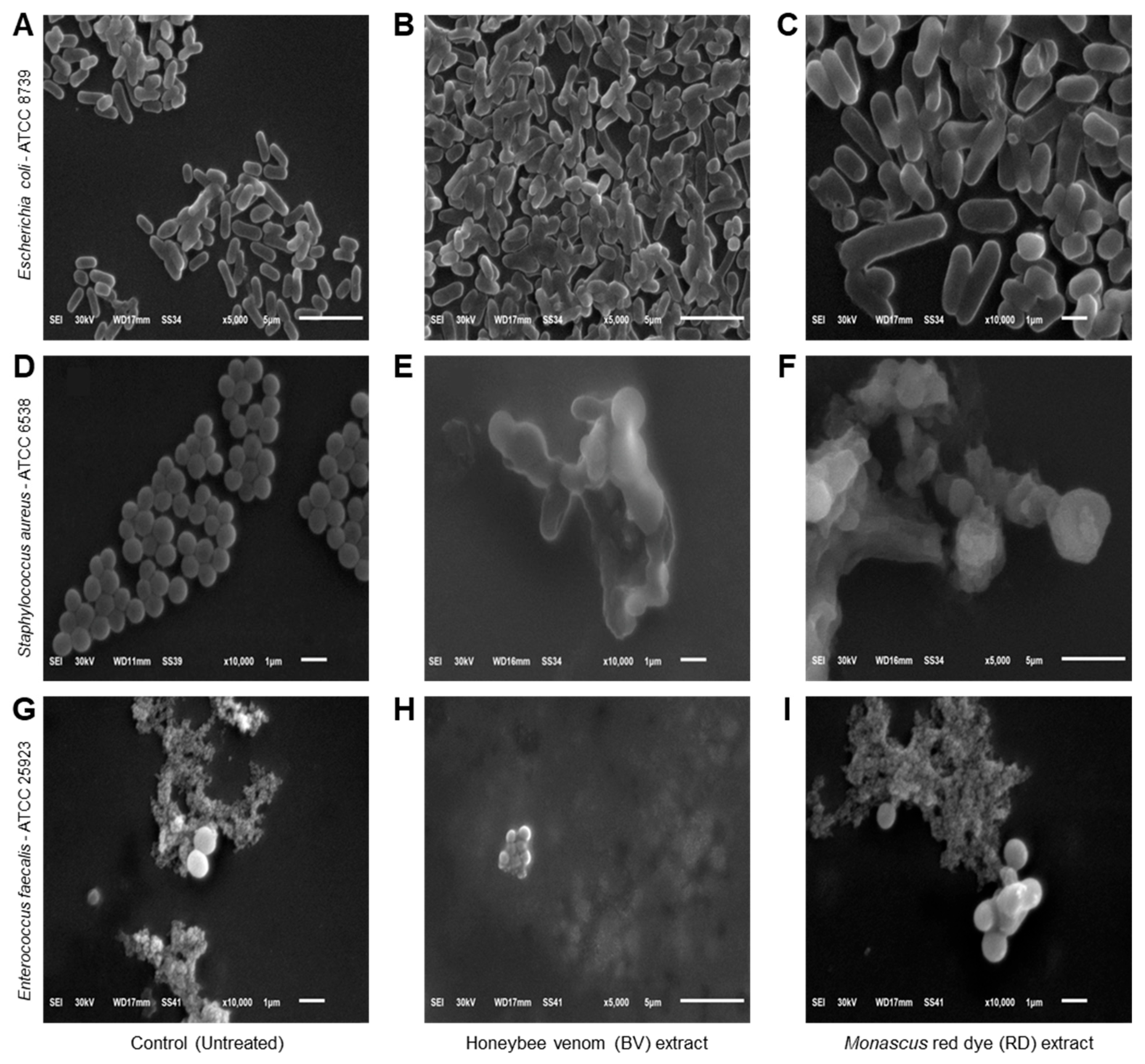 Biology 14 00021 g004