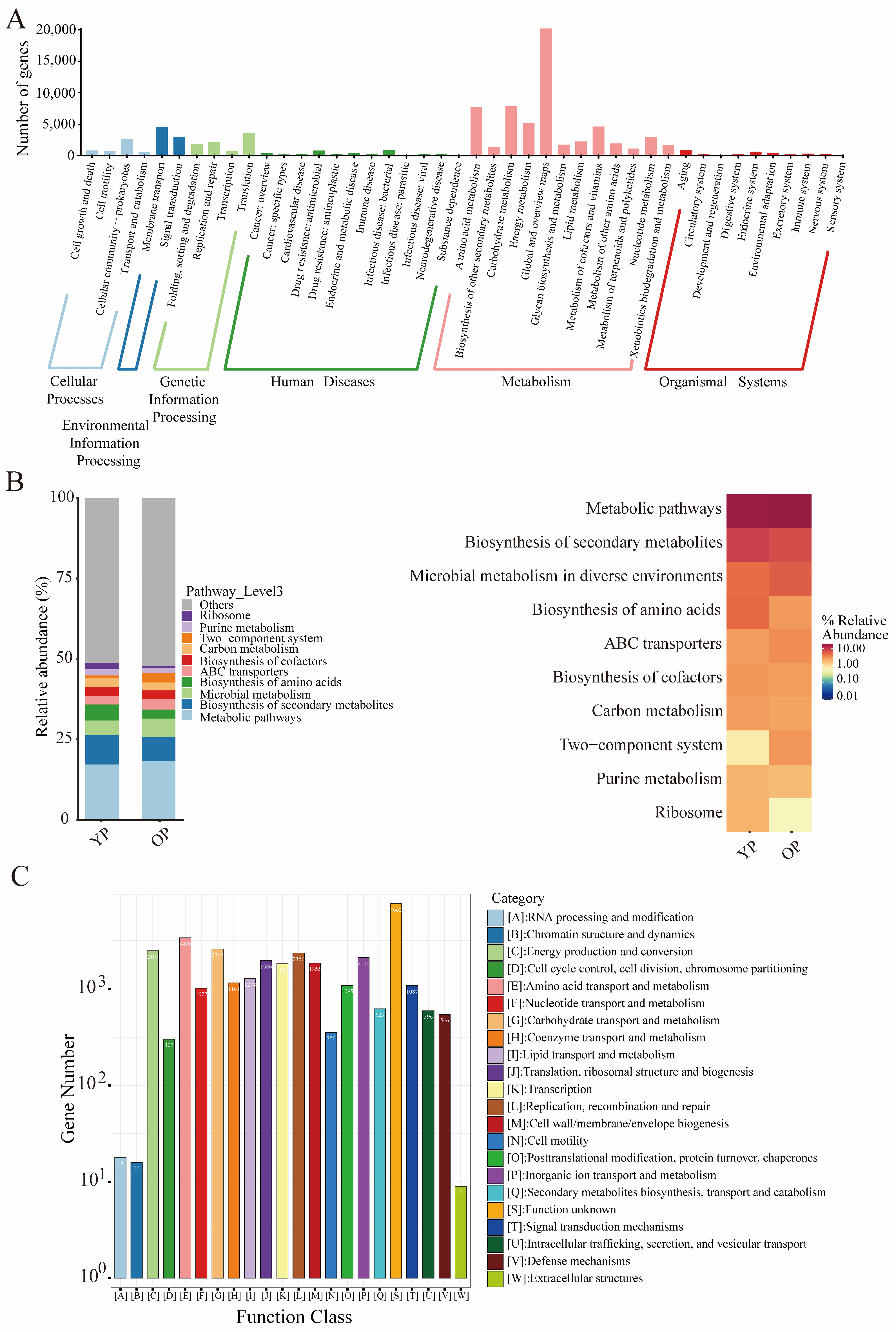 Biology 14 00025 g003