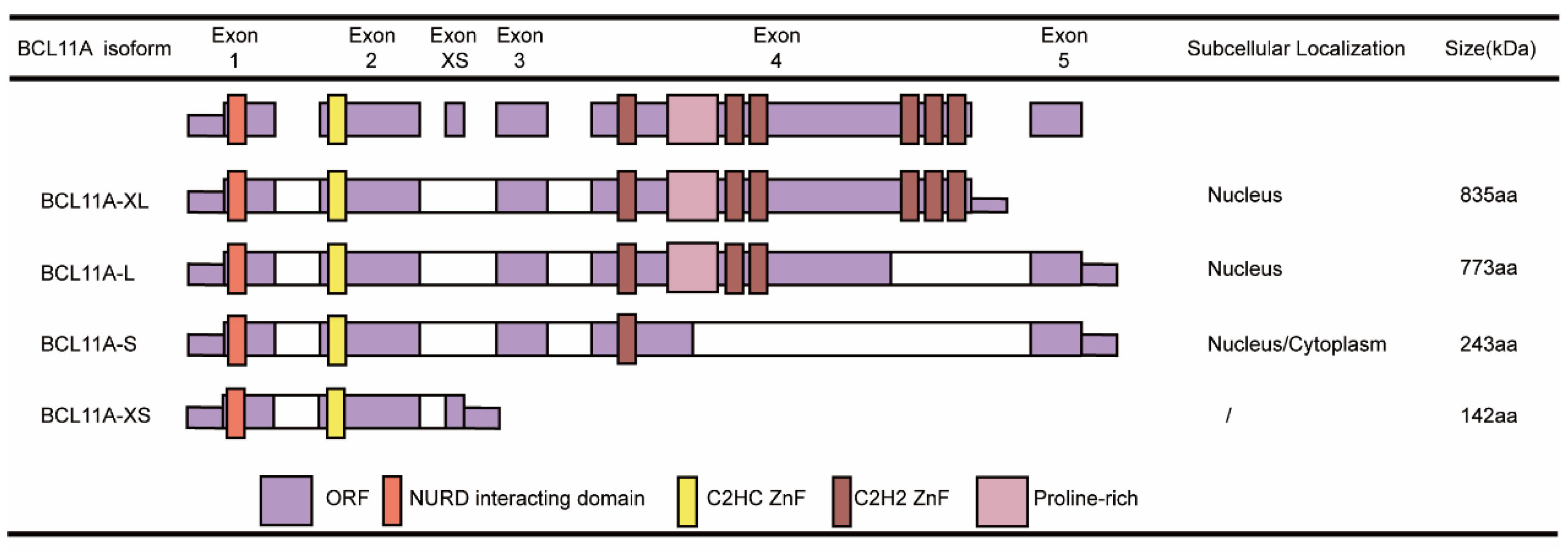 Biology 14 00026 g001