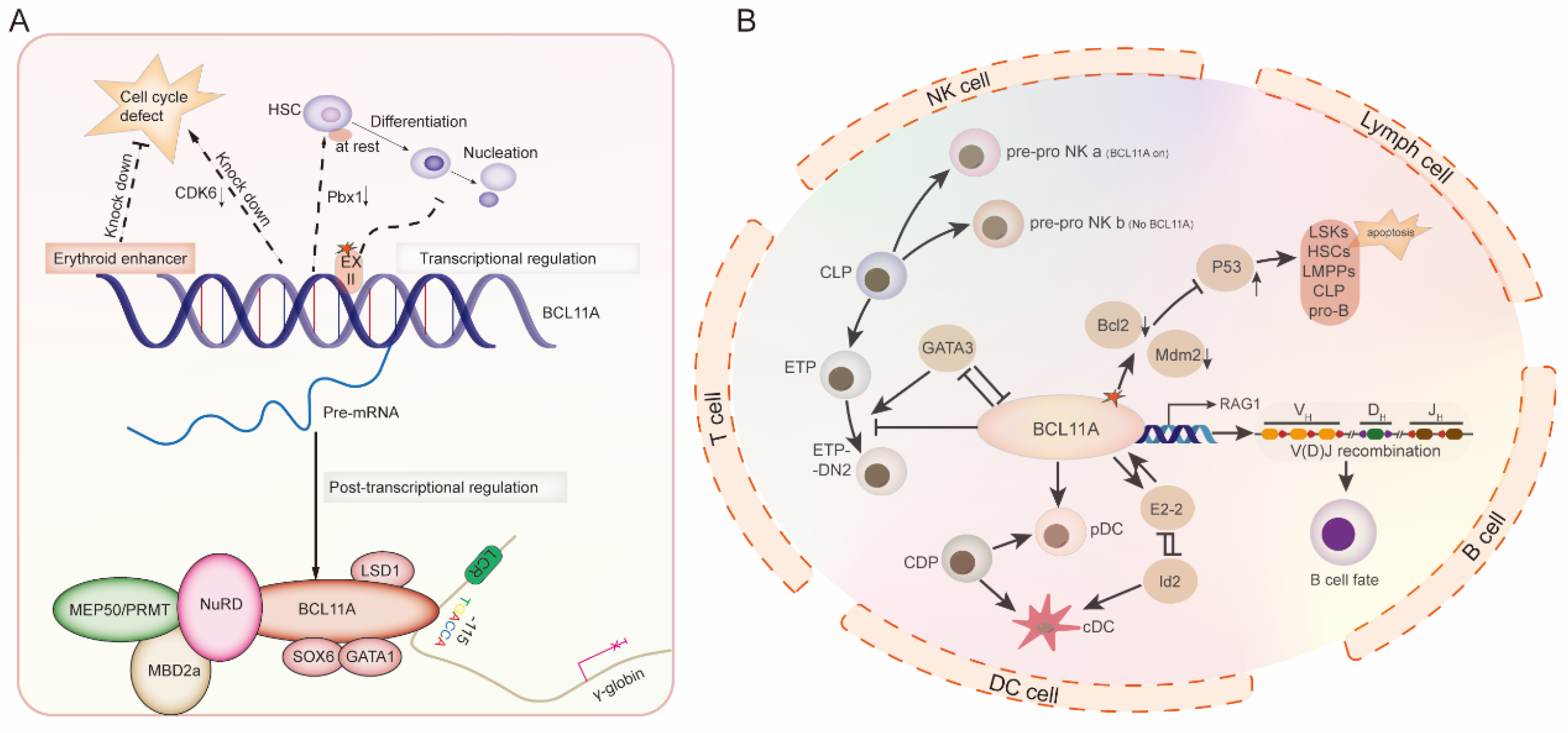 Biology 14 00026 g003