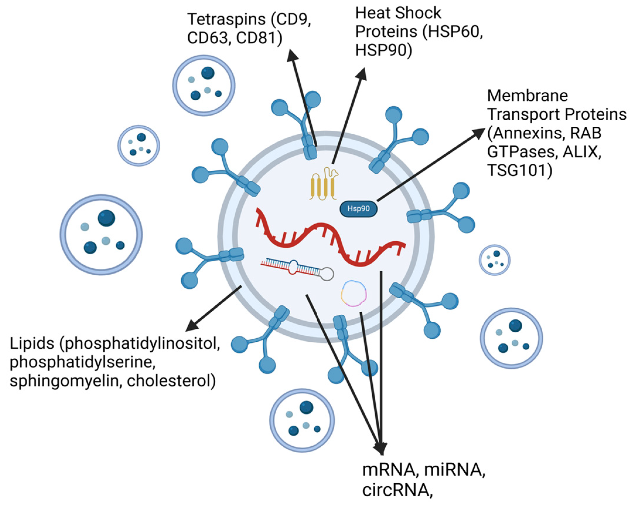 Biology 14 00027 g001