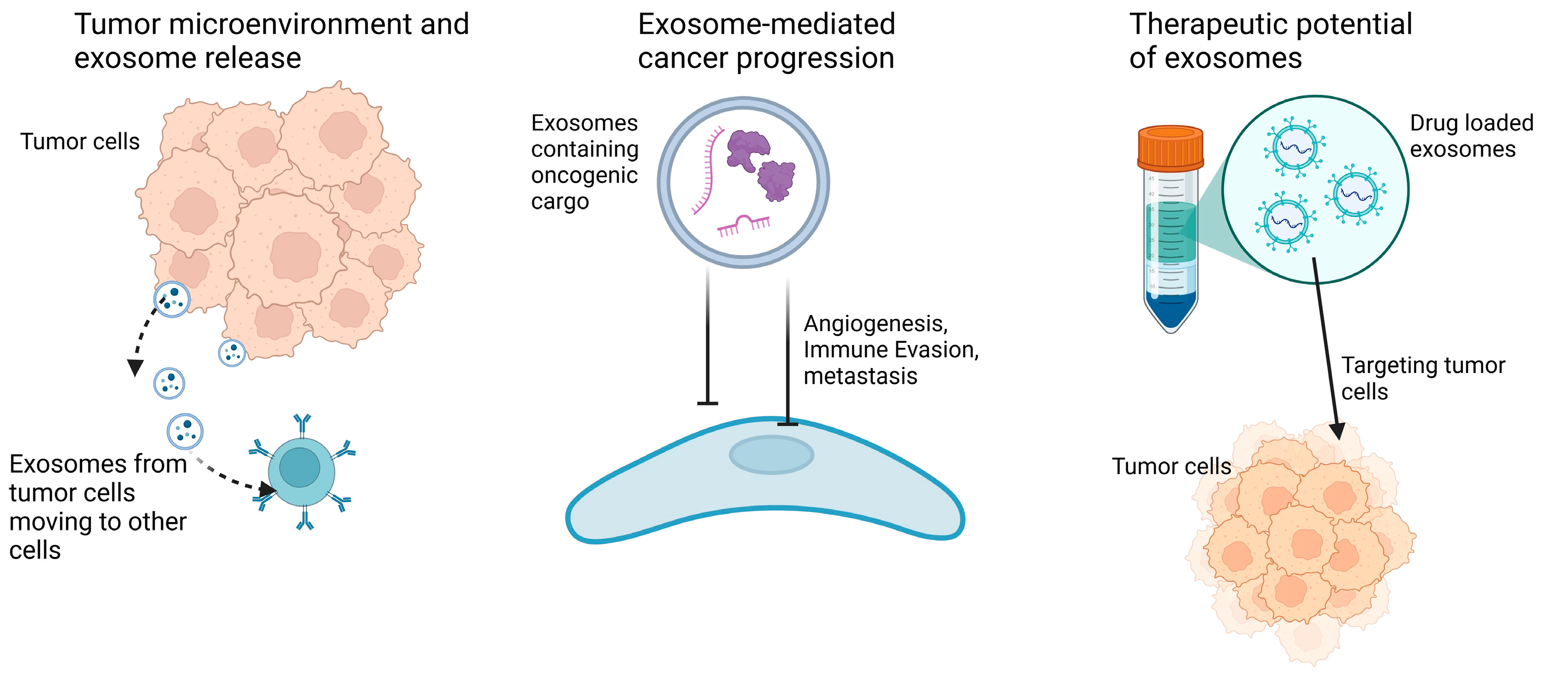 Biology 14 00027 g002