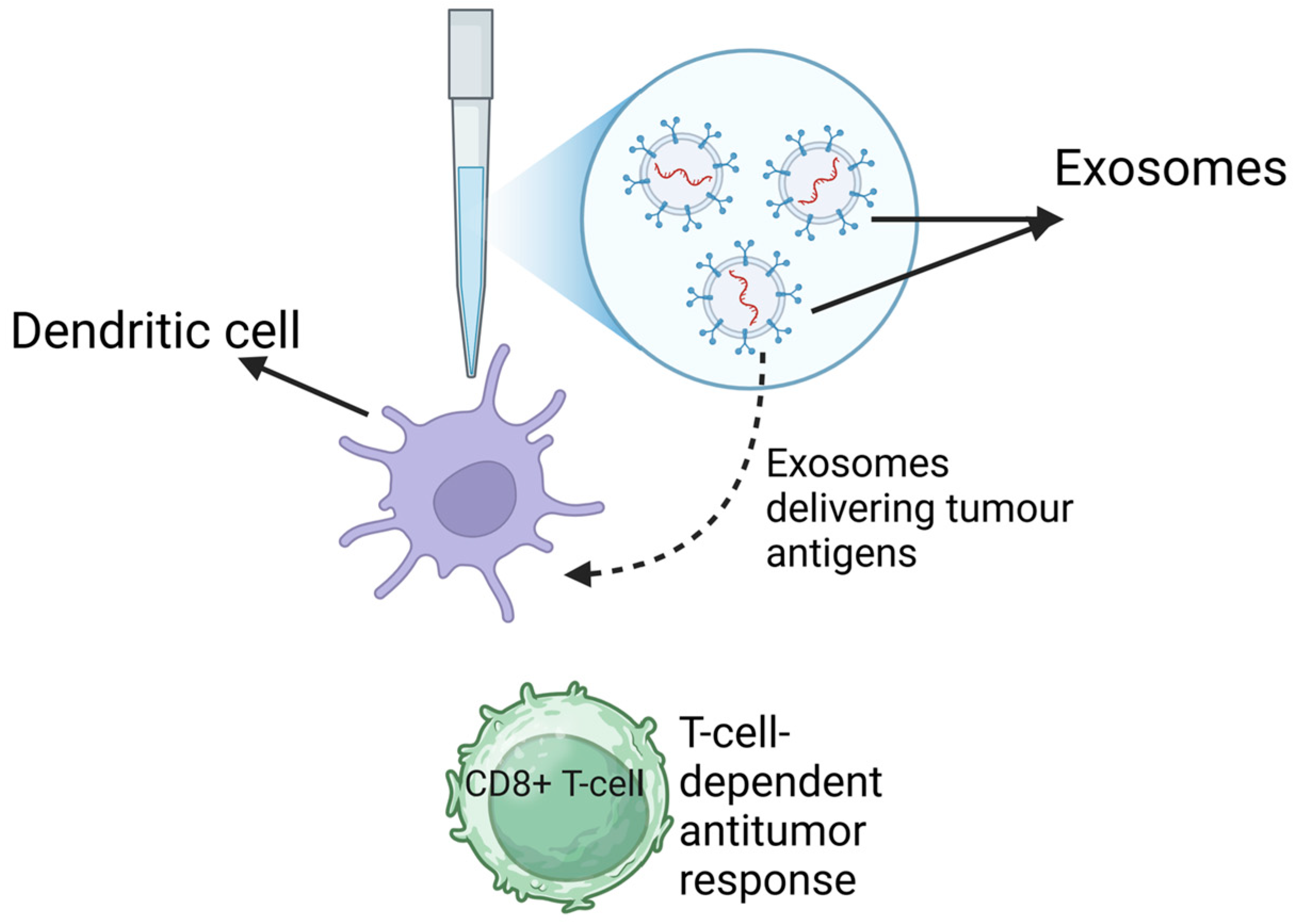 Biology 14 00027 g003
