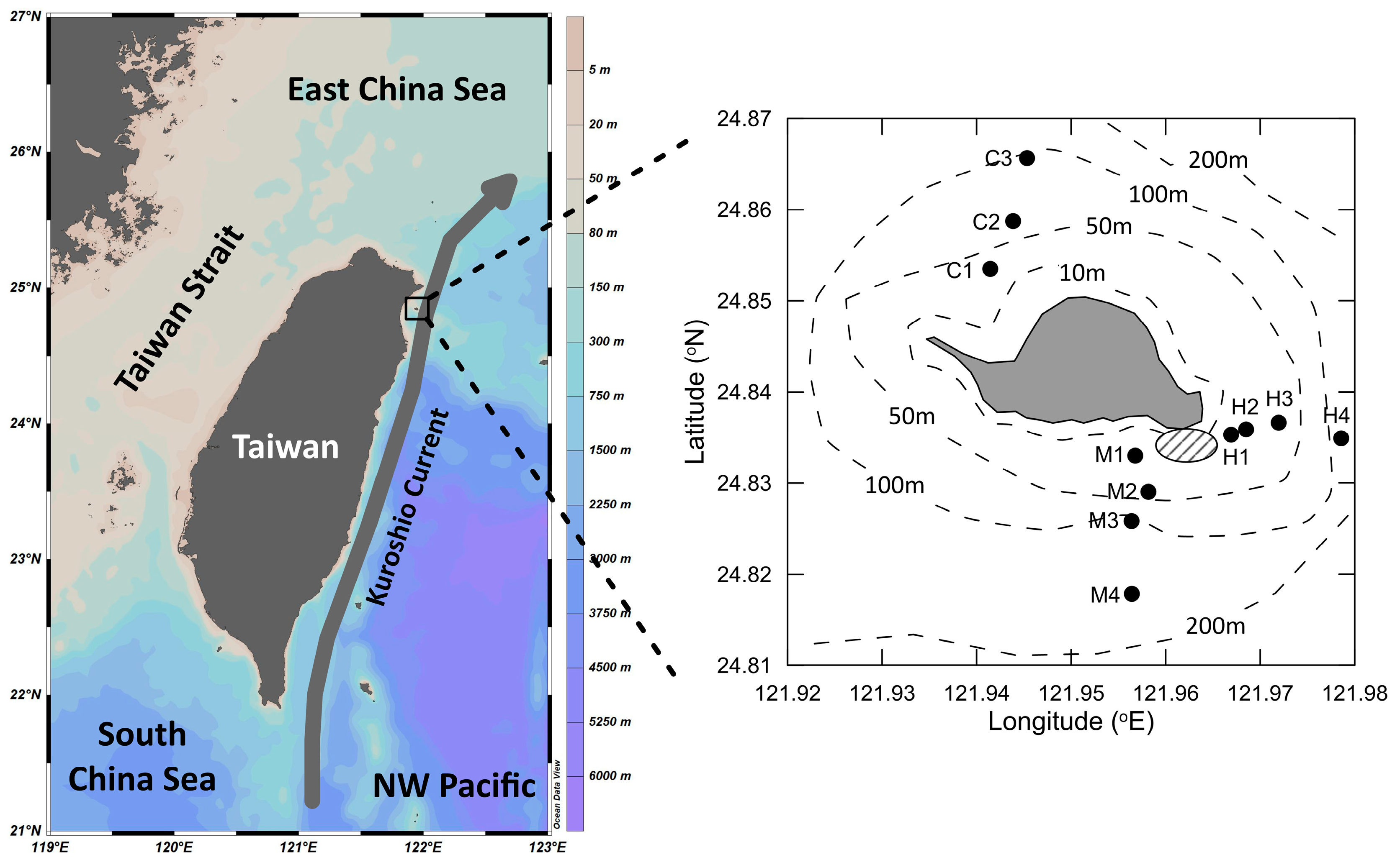 Biology 14 00028 g001 Biology 14 00028 g001