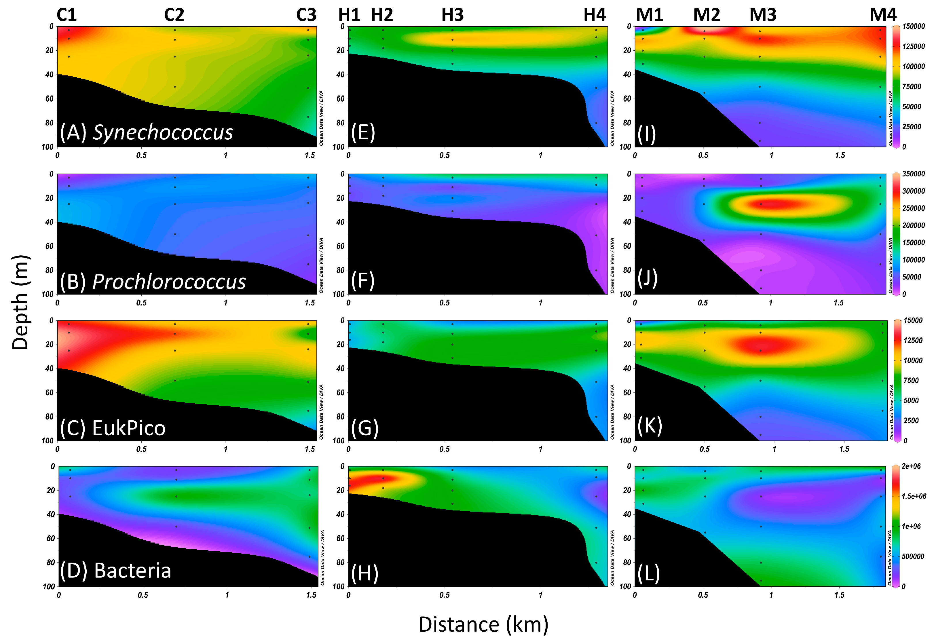 Biology 14 00028 g003 Biology 14 00028 g003