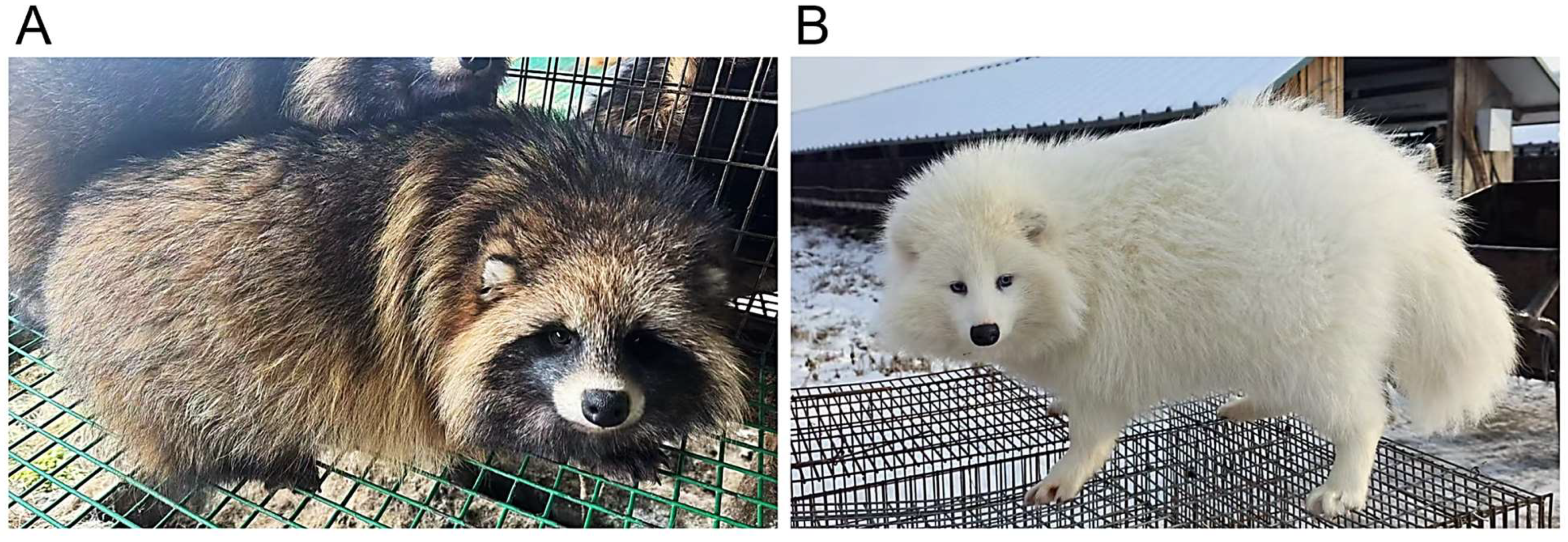 Biology 14 00030 g001