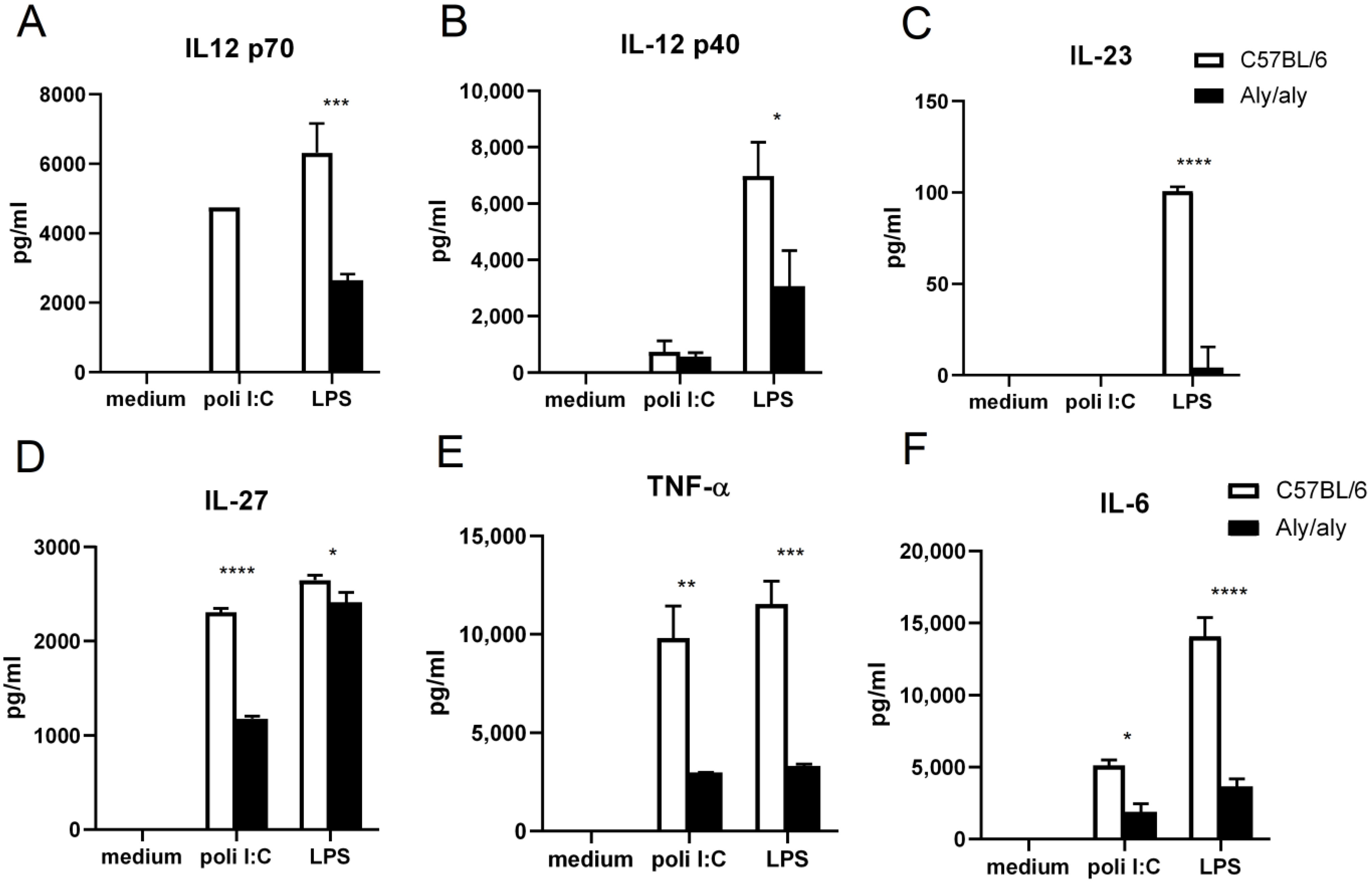Biology 14 00033 g001
