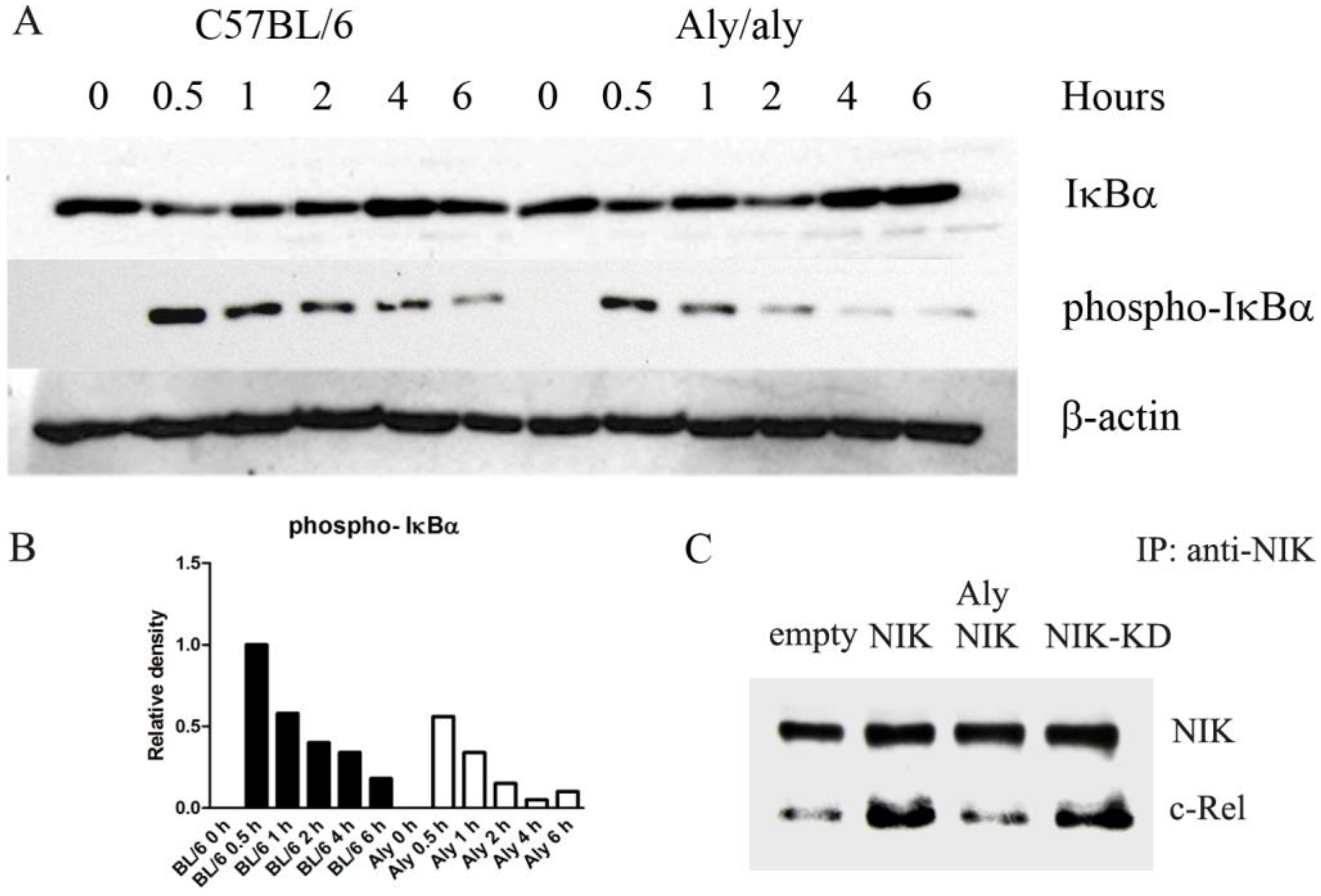Biology 14 00033 g004