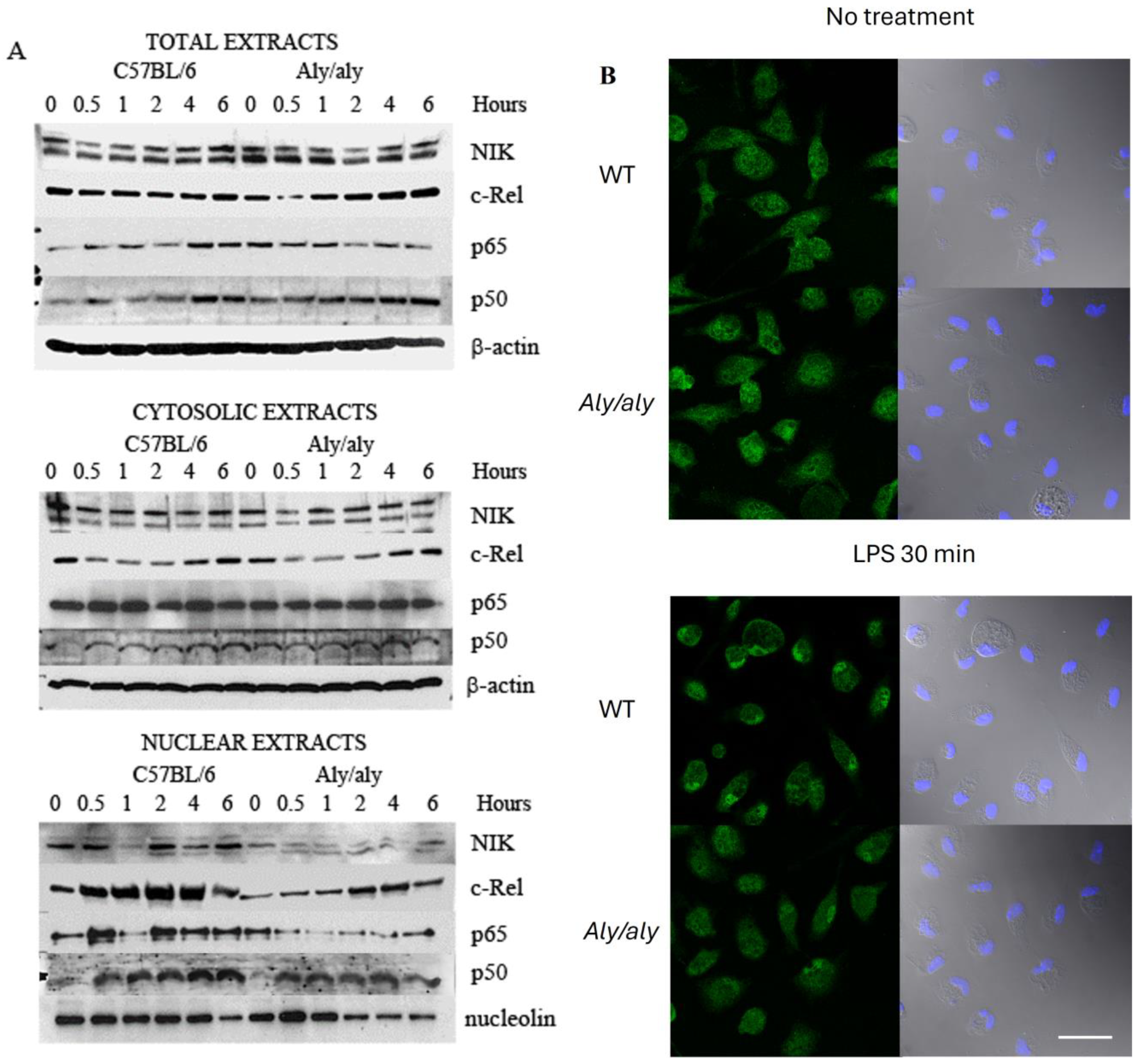 Biology 14 00033 g005