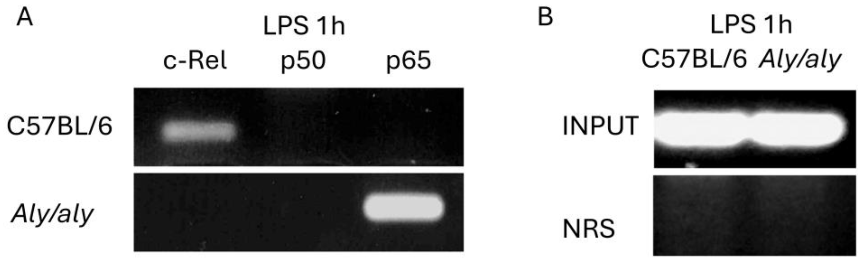 Biology 14 00033 g006