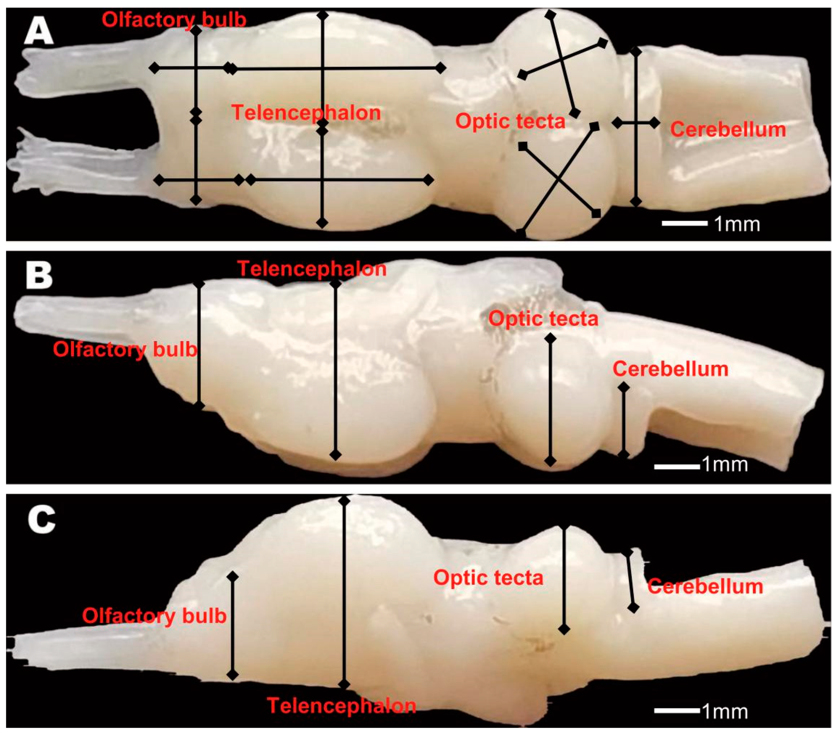 Biology 14 00038 g002