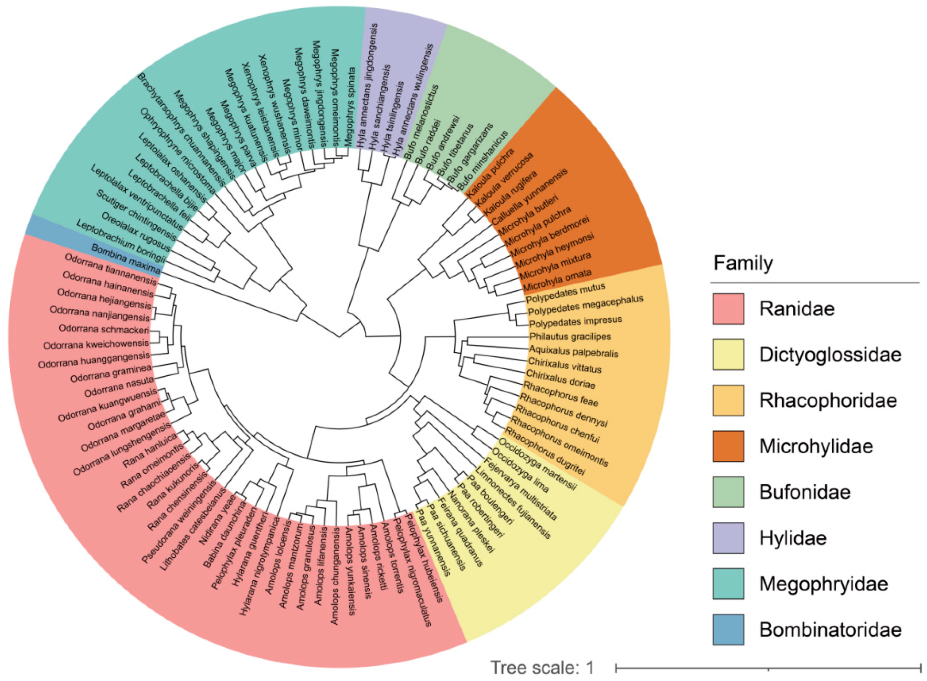 Biology 14 00038 g003