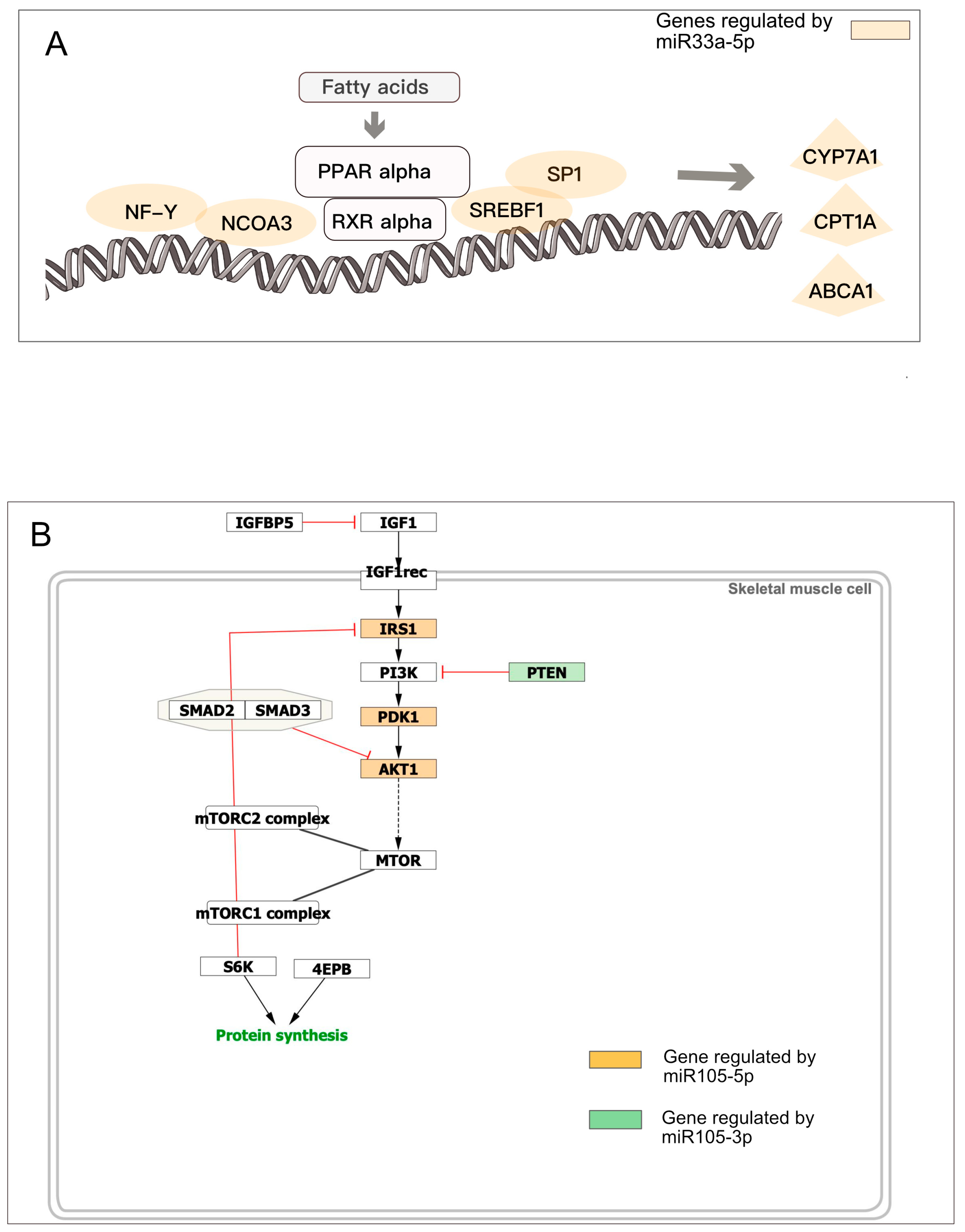 Biology 14 00043 g006