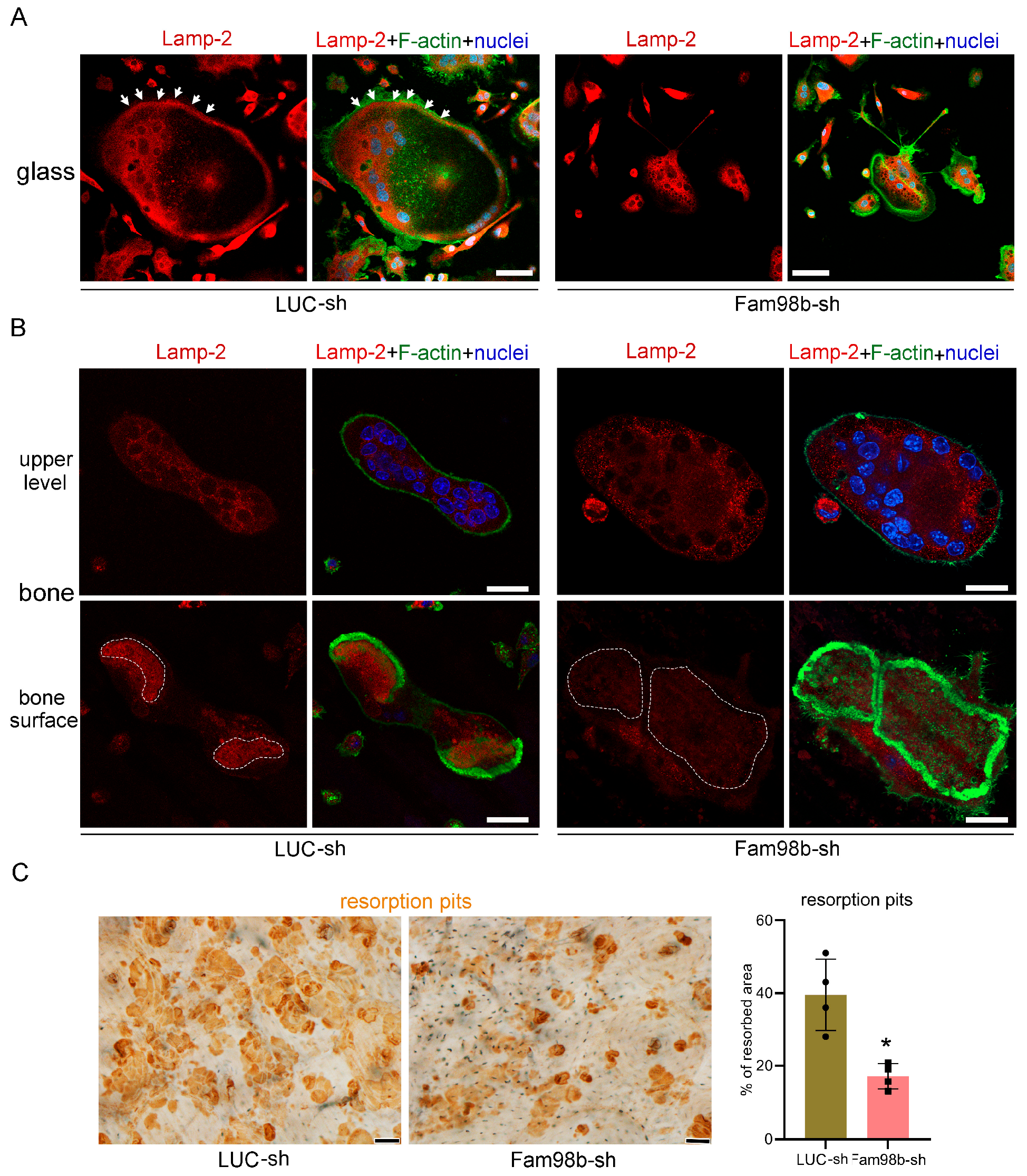 Biology 14 00045 g004