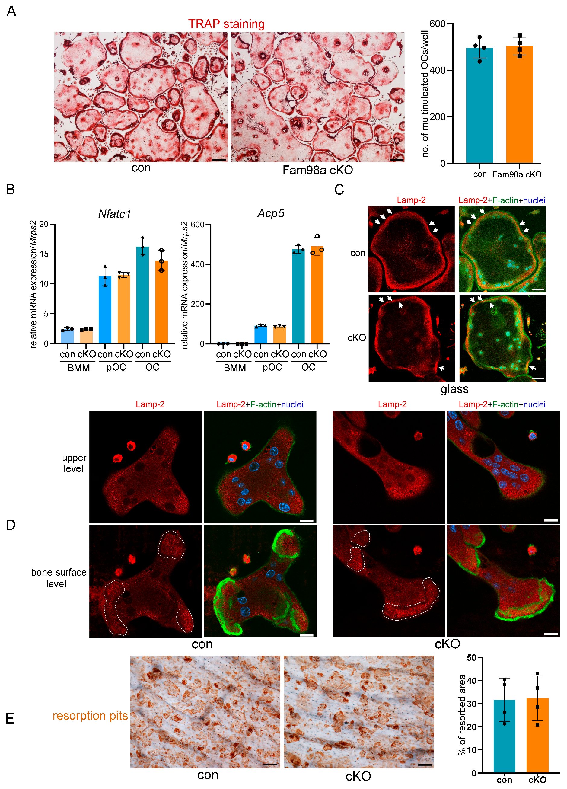 Biology 14 00045 g006