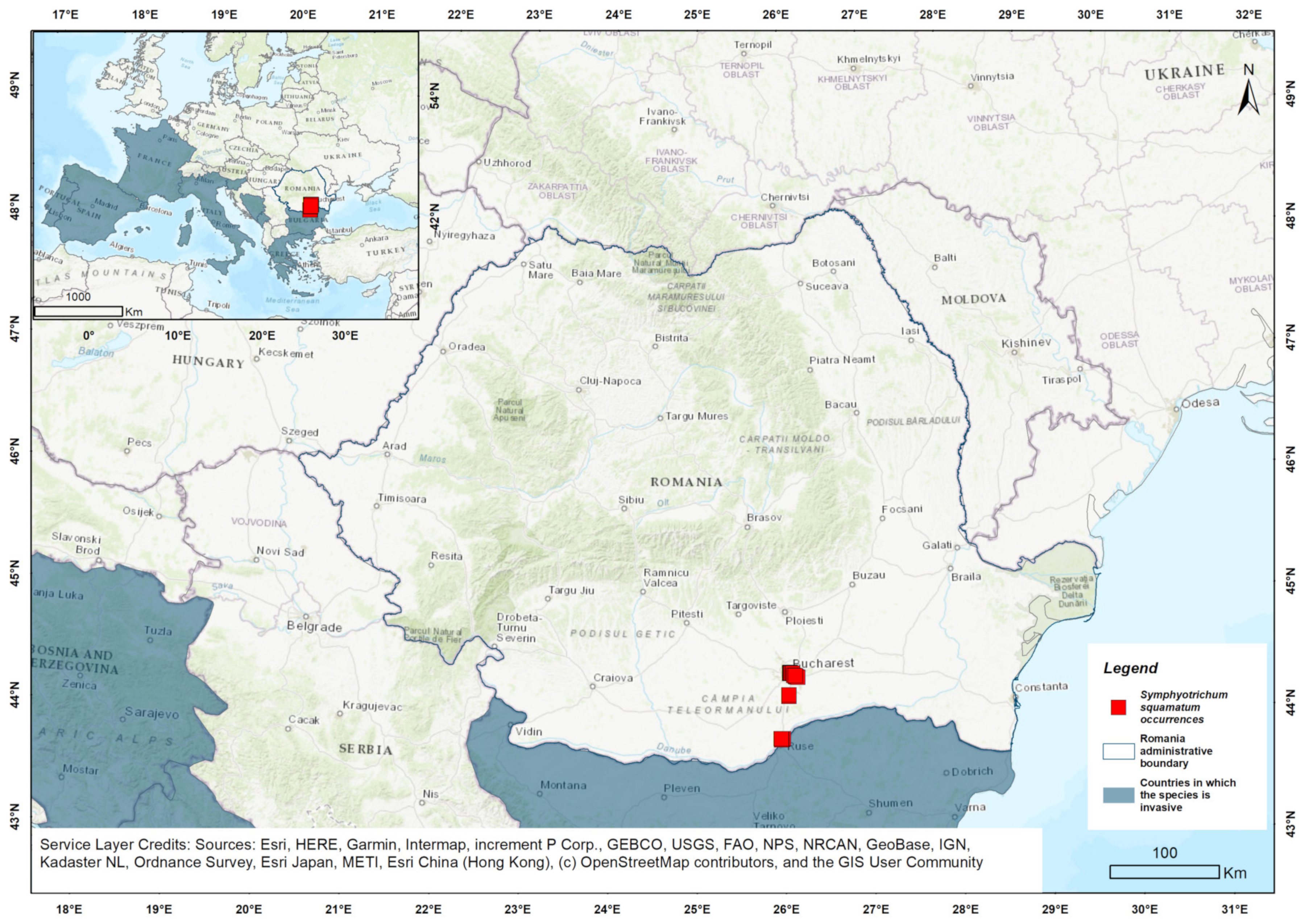 Biology 14 00047 g001