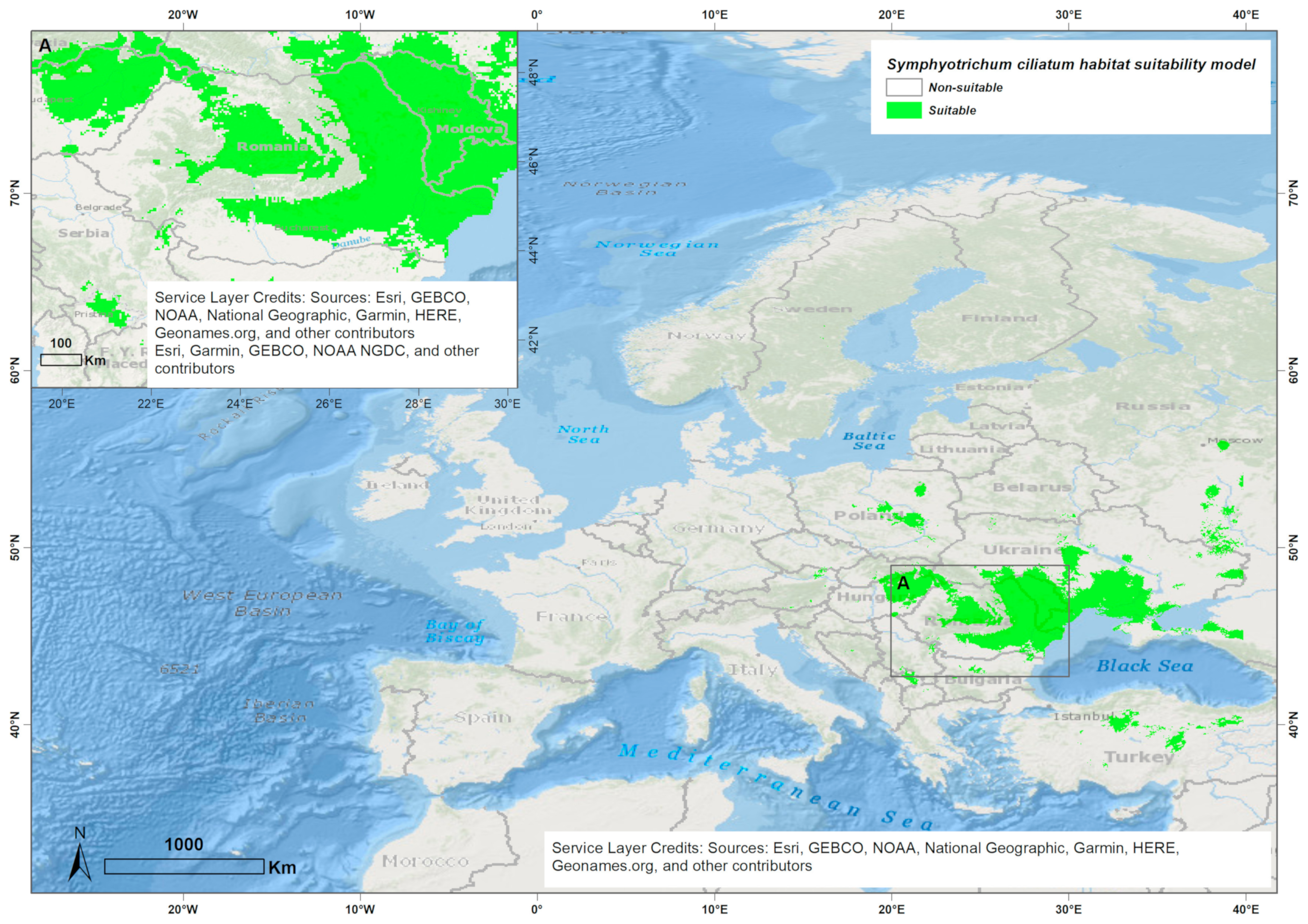 Biology 14 00047 g005