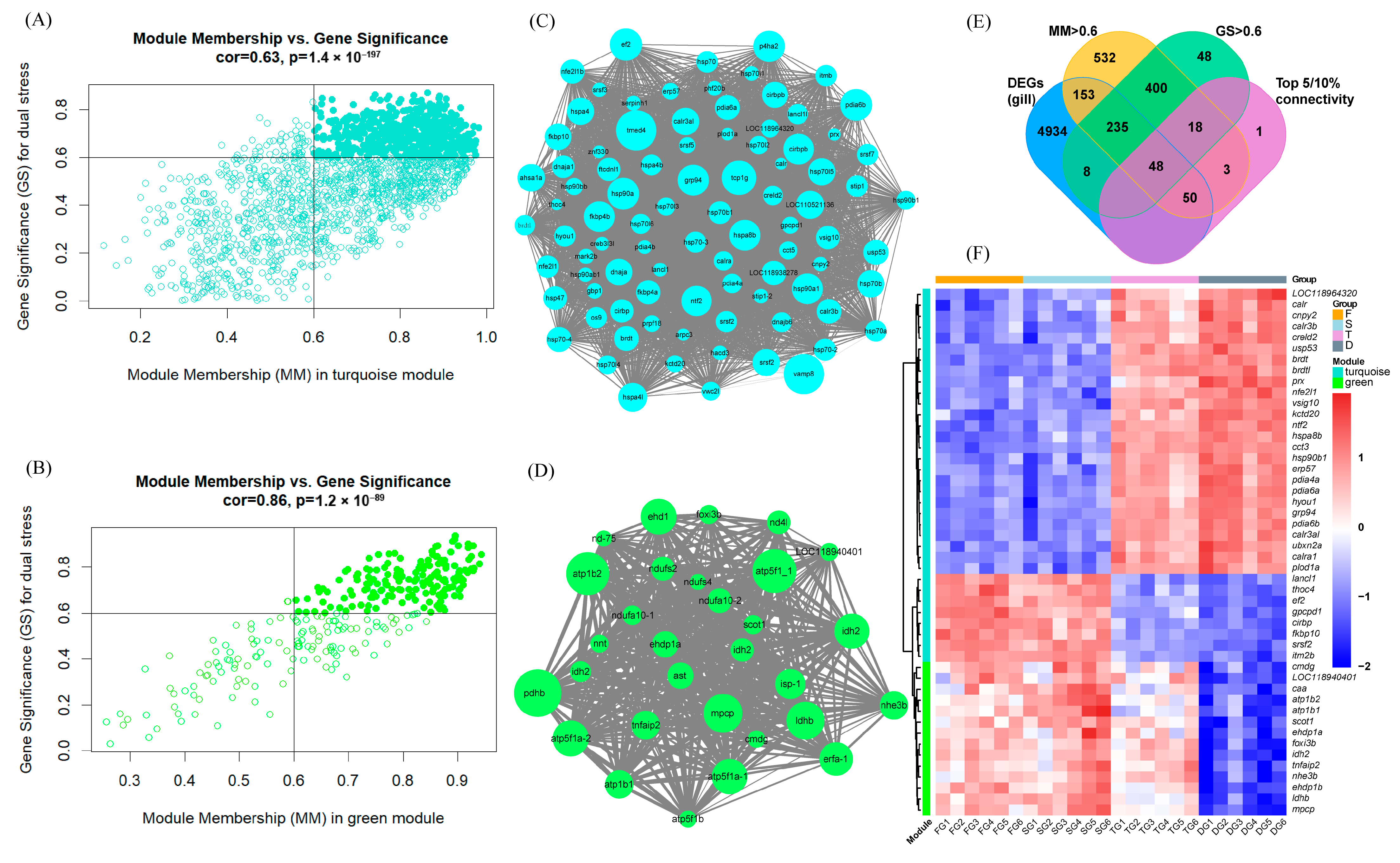Biology 14 00049 g004