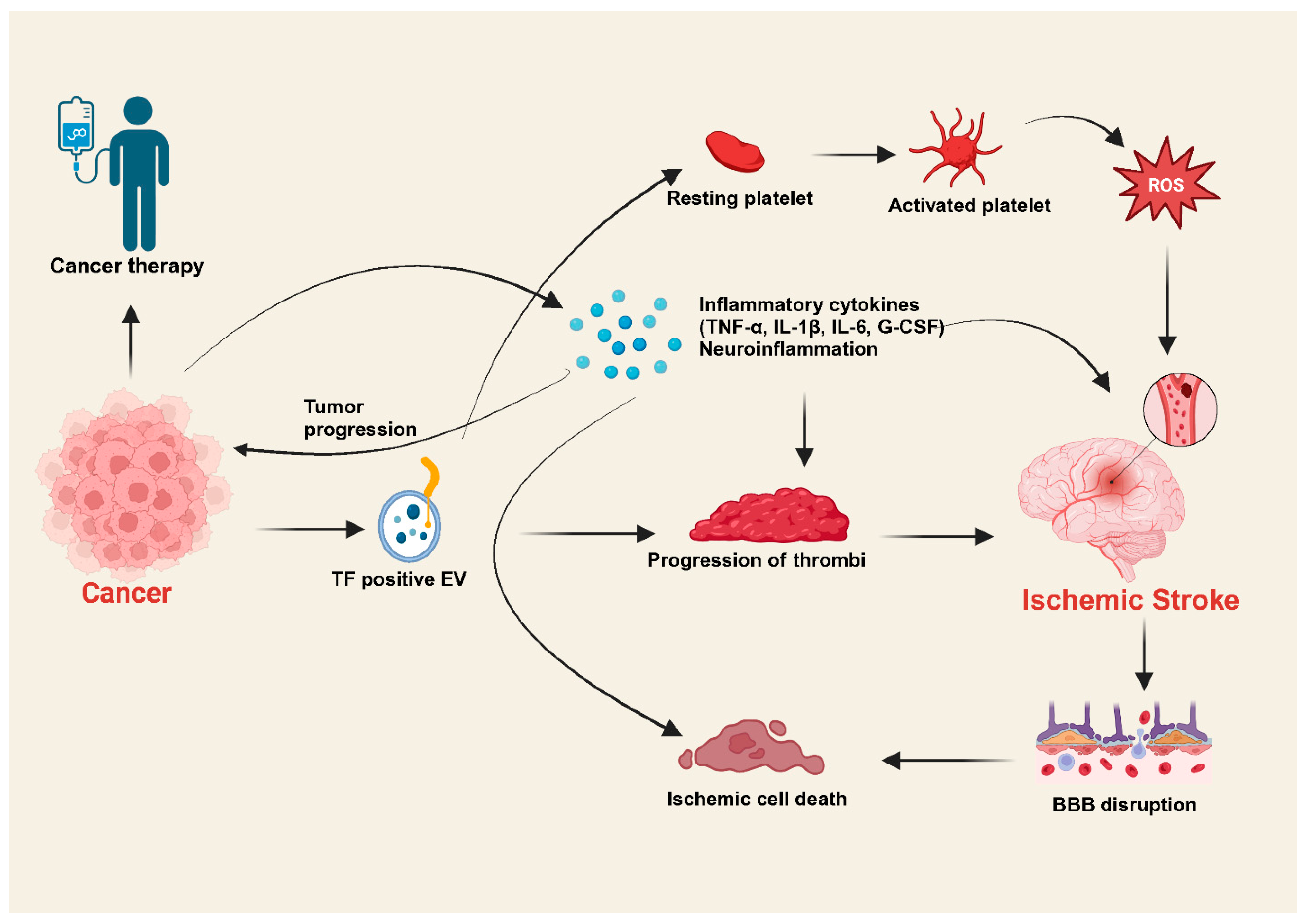 Biology 14 00050 g002