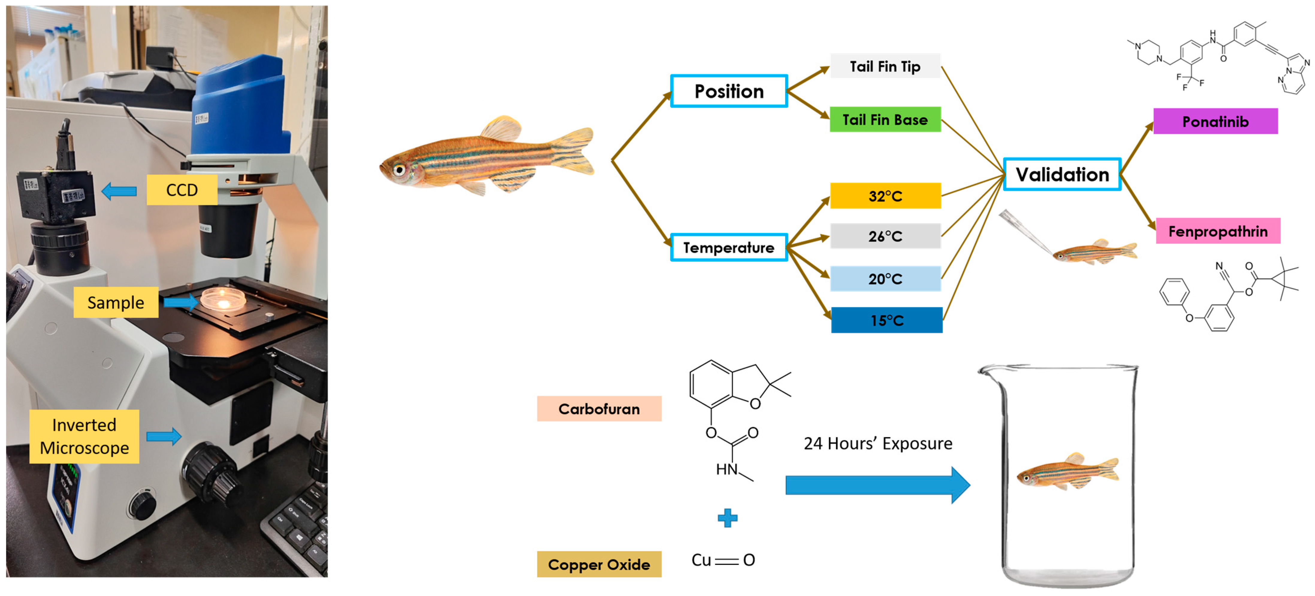 Biology 14 00051 g001