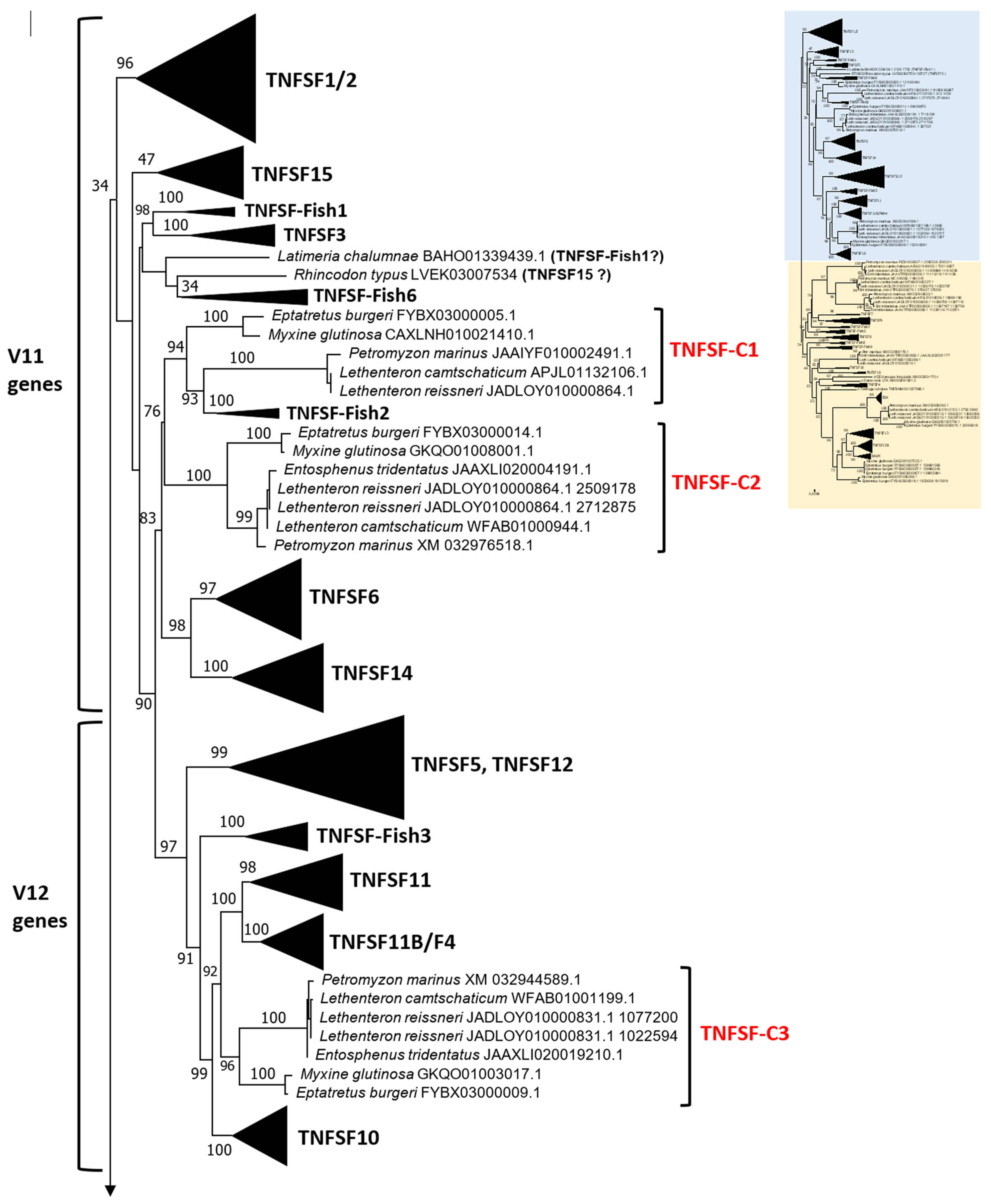 Biology 14 00054 g002a