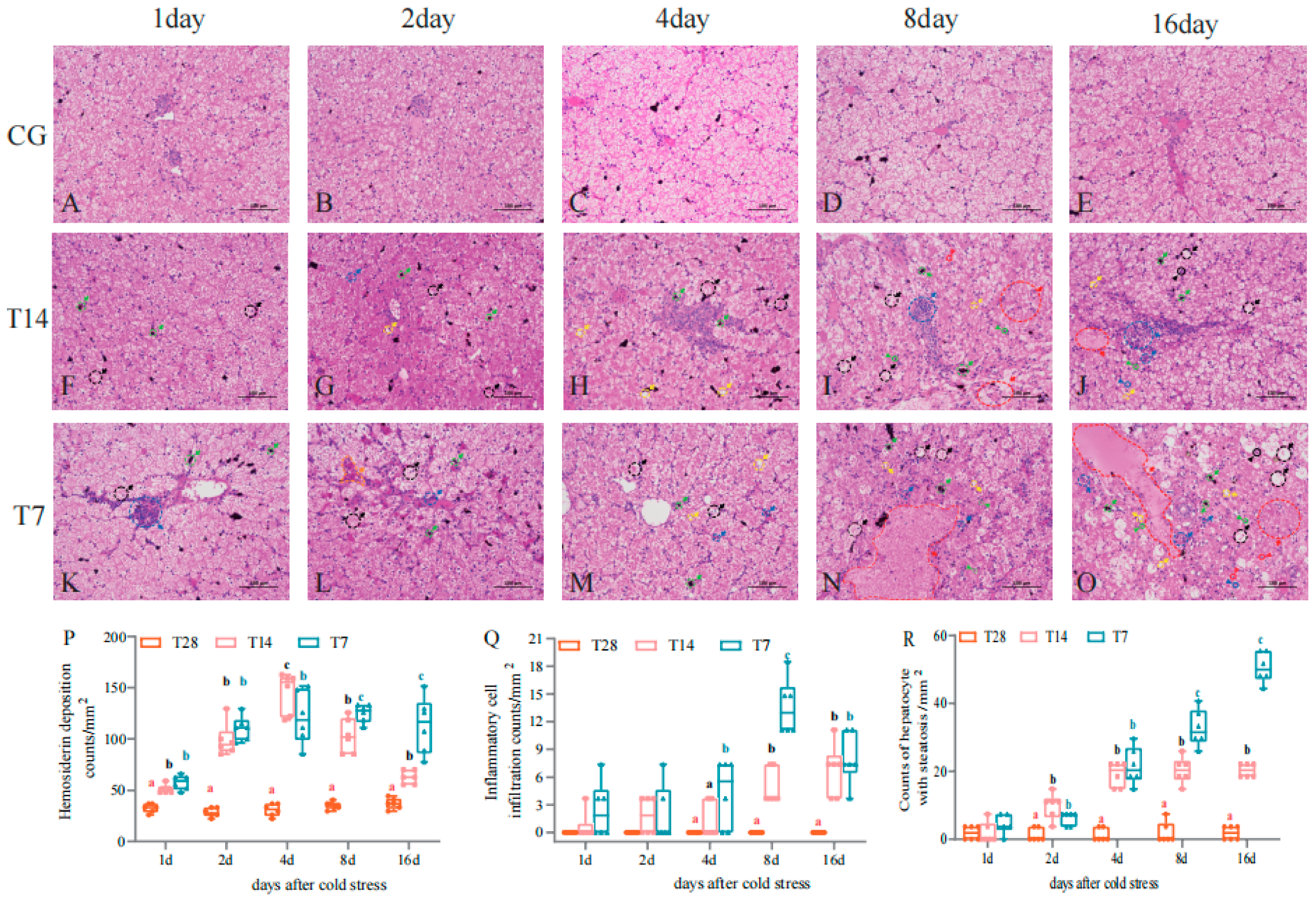 Biology 14 00055 g003