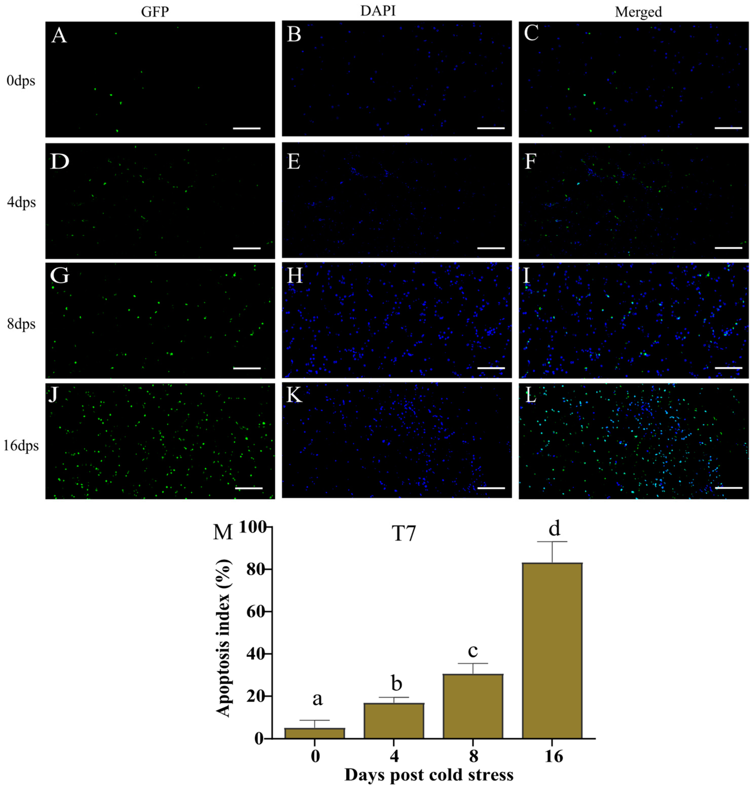 Biology 14 00055 g004