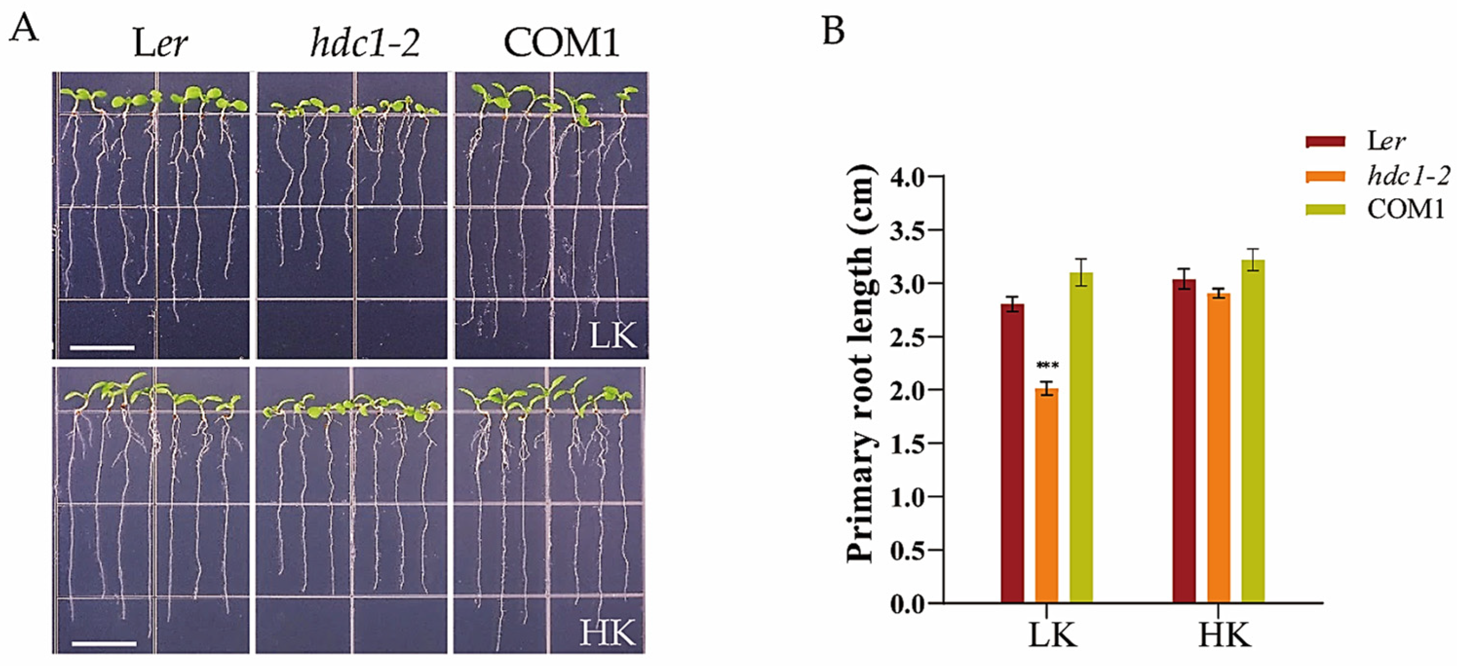 Biology 14 00057 g001 Biology 14 00057 g001