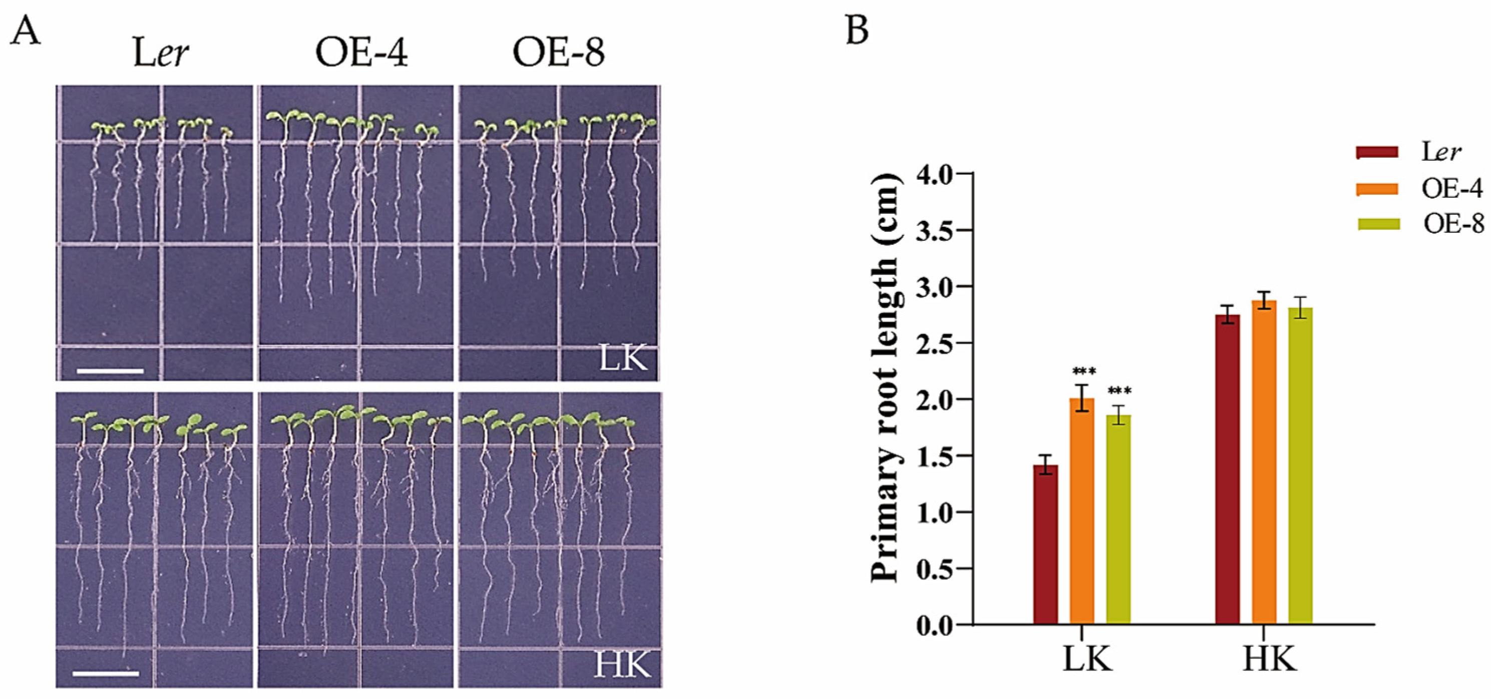 Biology 14 00057 g003 Biology 14 00057 g003