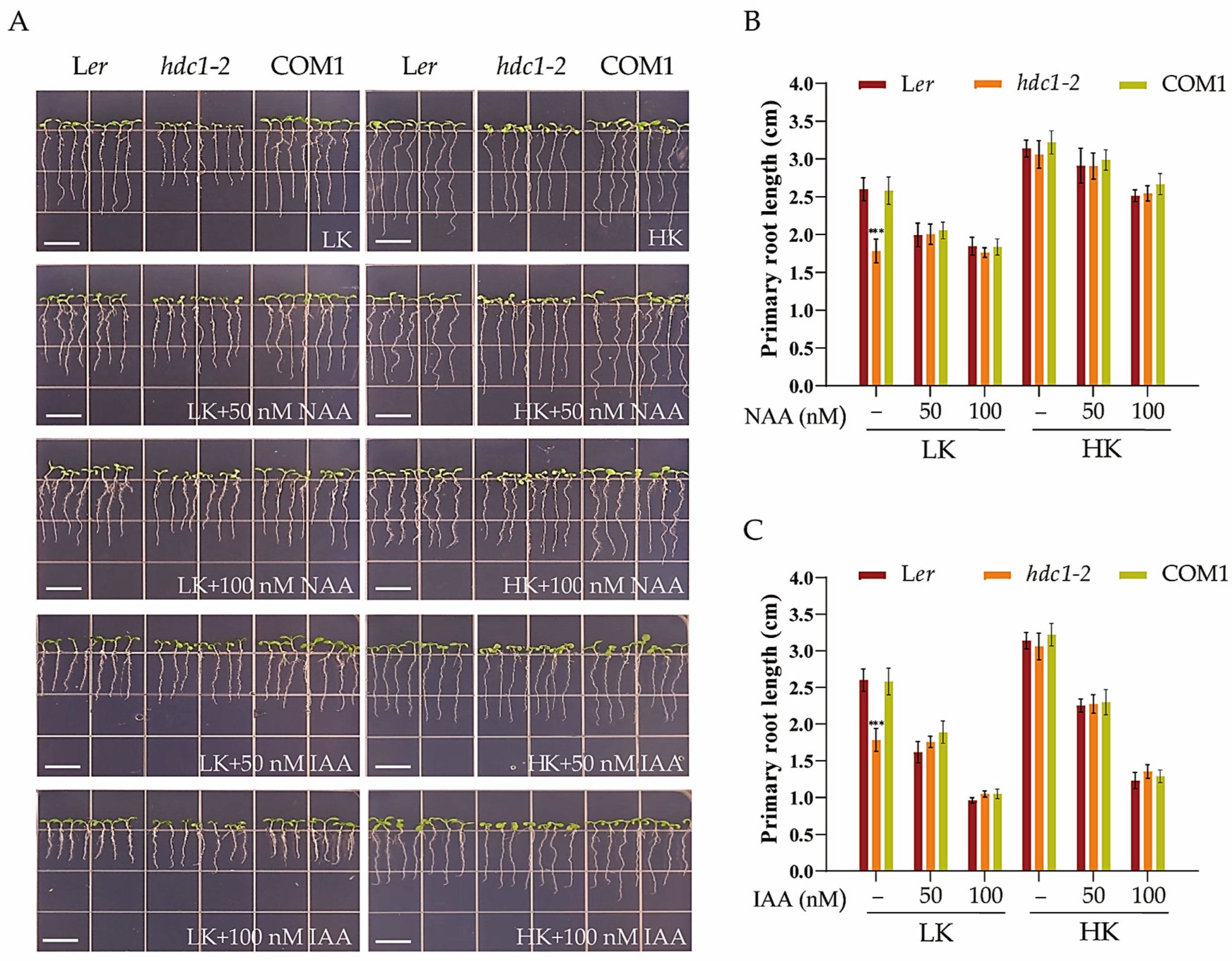Biology 14 00057 g006 Biology 14 00057 g006