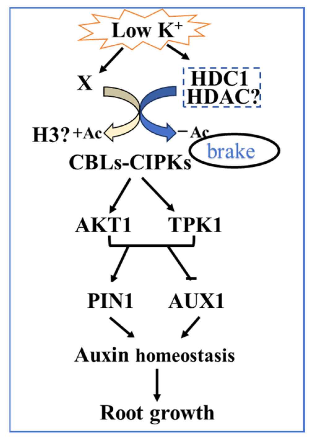 Biology 14 00057 g010 Biology 14 00057 g010